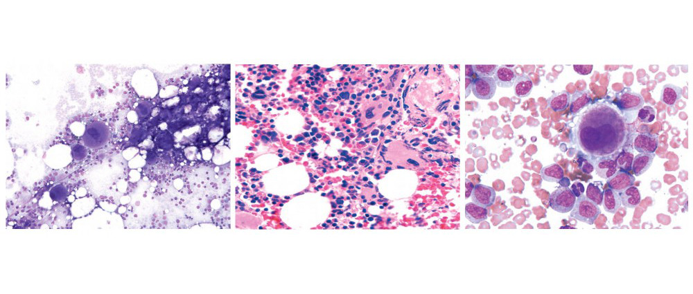 cropped-banner-version-3.jpg