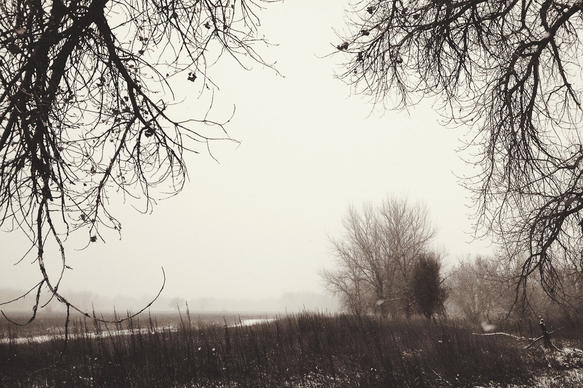 untitled-119.jpg