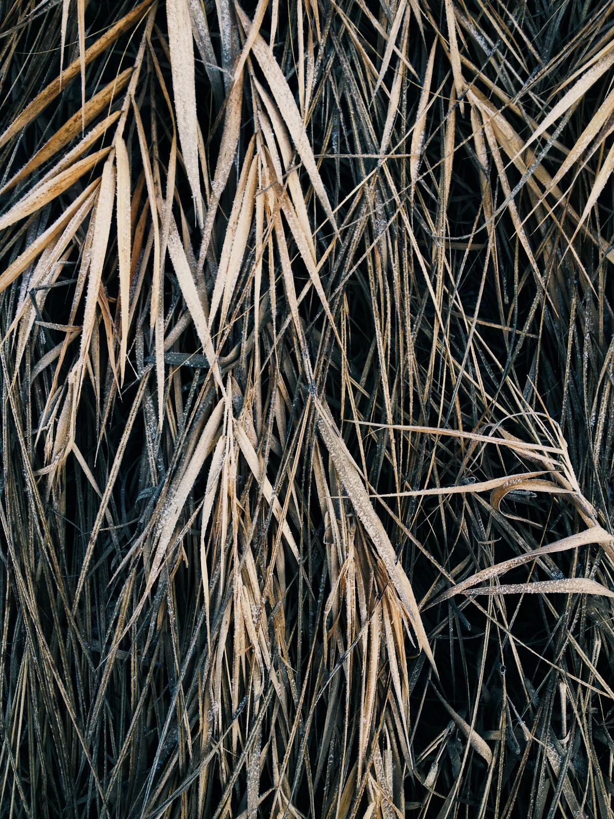 untitled-236.jpg