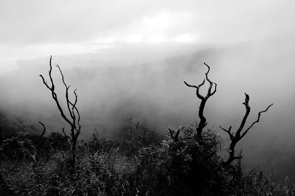 untitled-69.jpg
