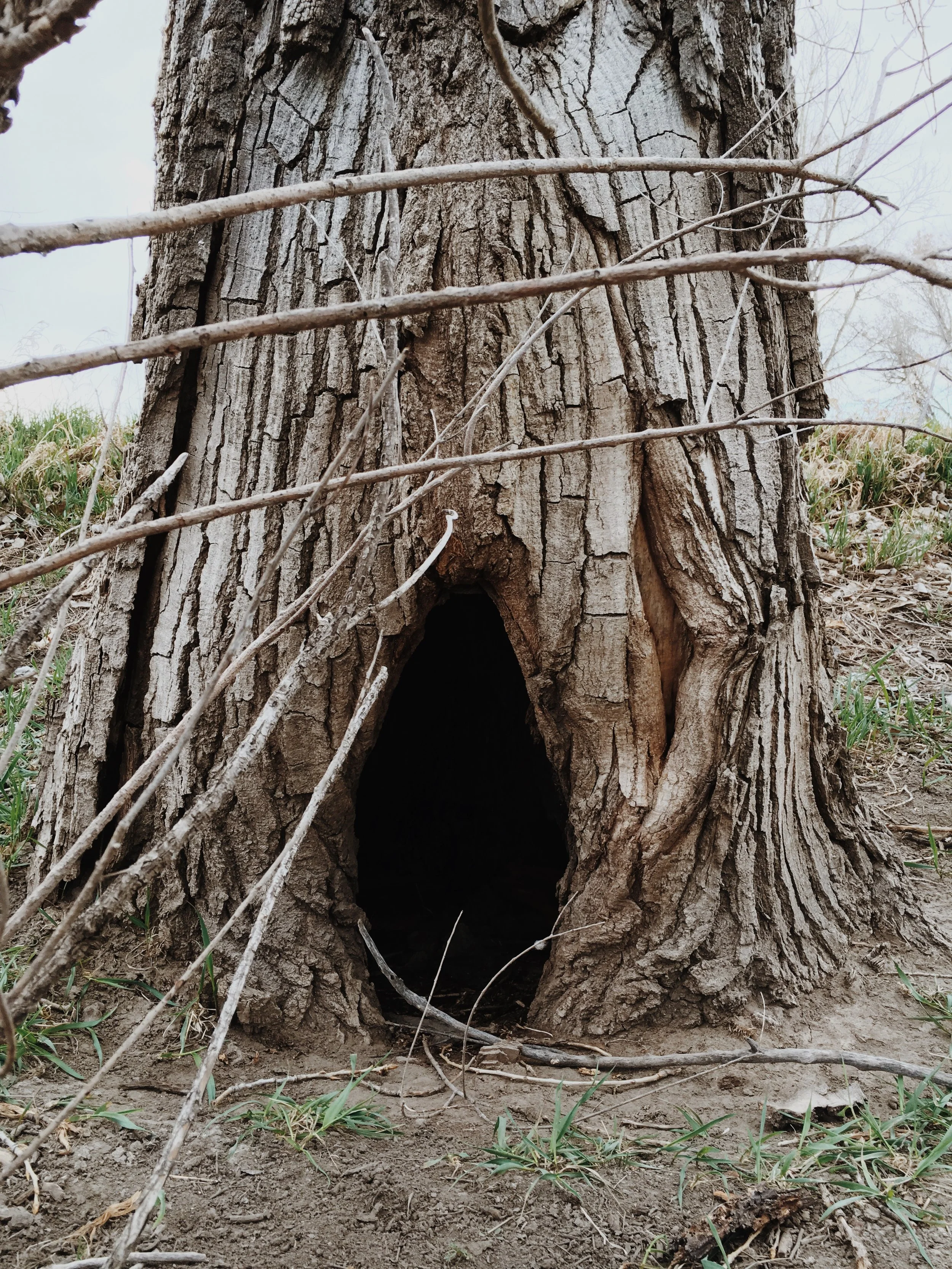 Photo Apr 10, 7 46 15 AM.jpg