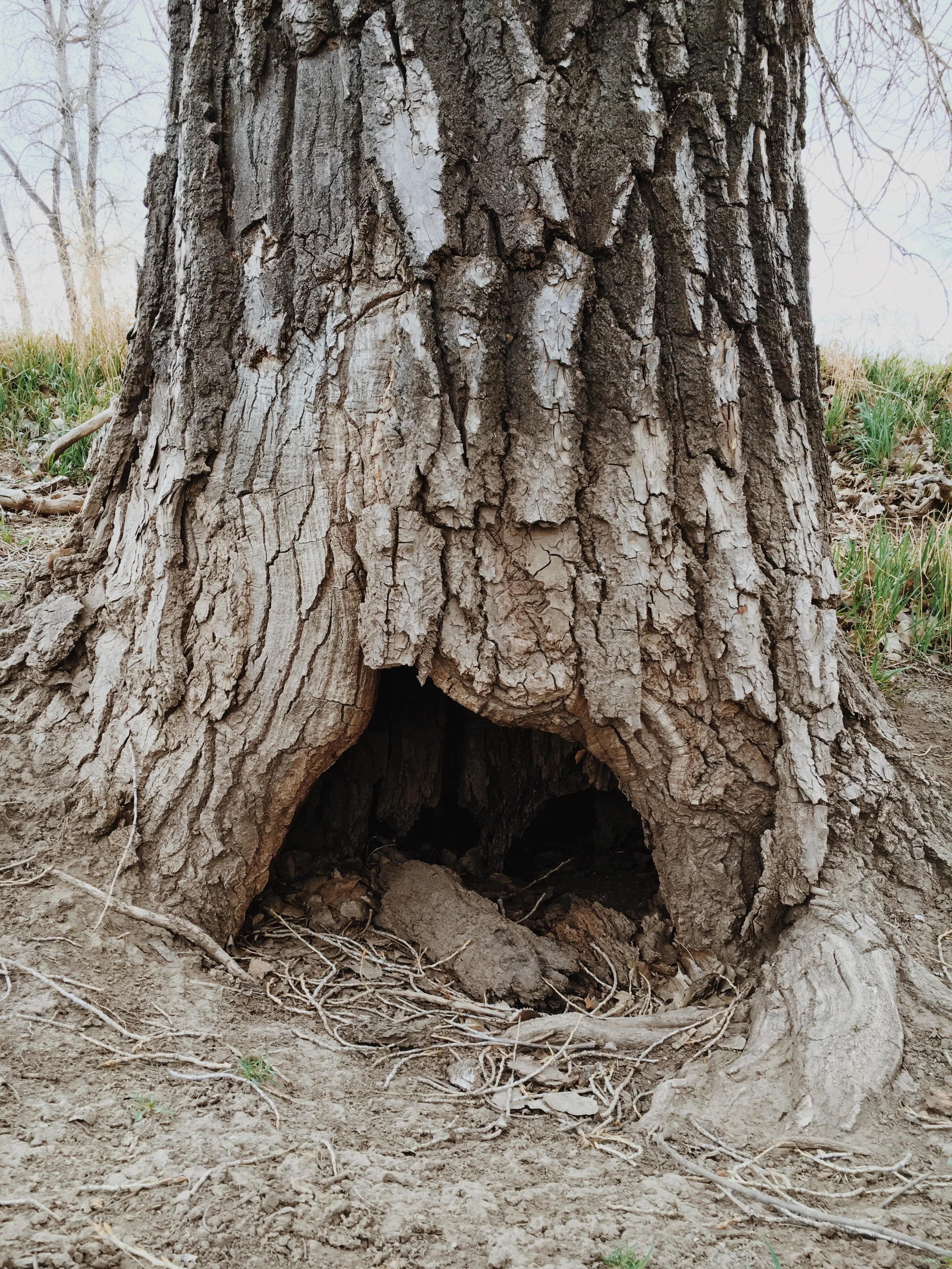 Photo Apr 10, 7 46 33 AM.jpg