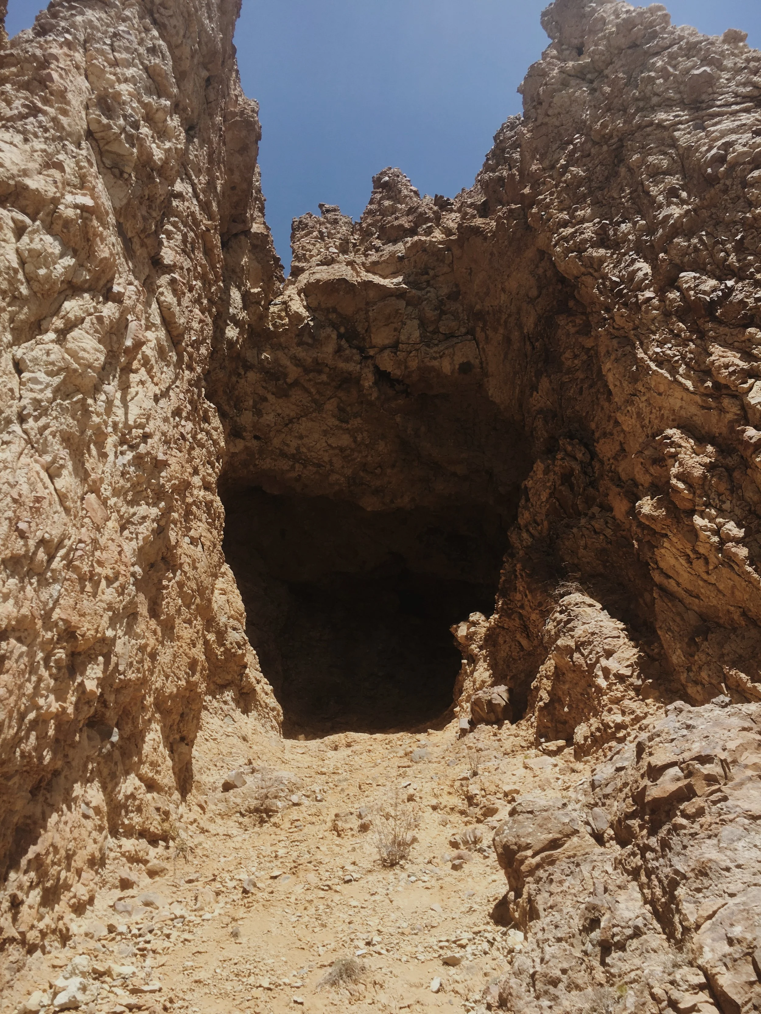 Photo Apr 13, 1 13 11 PM.jpg