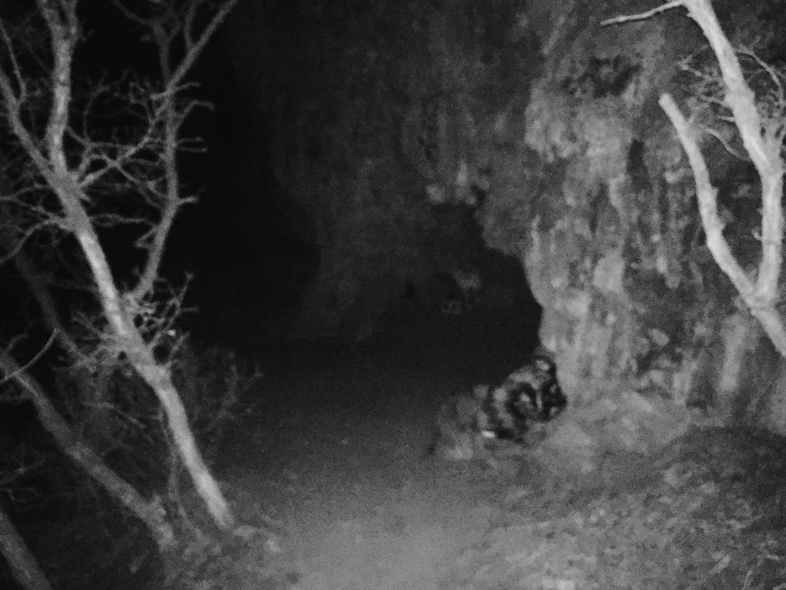 Photo Apr 13, 9 33 15 PM.jpg