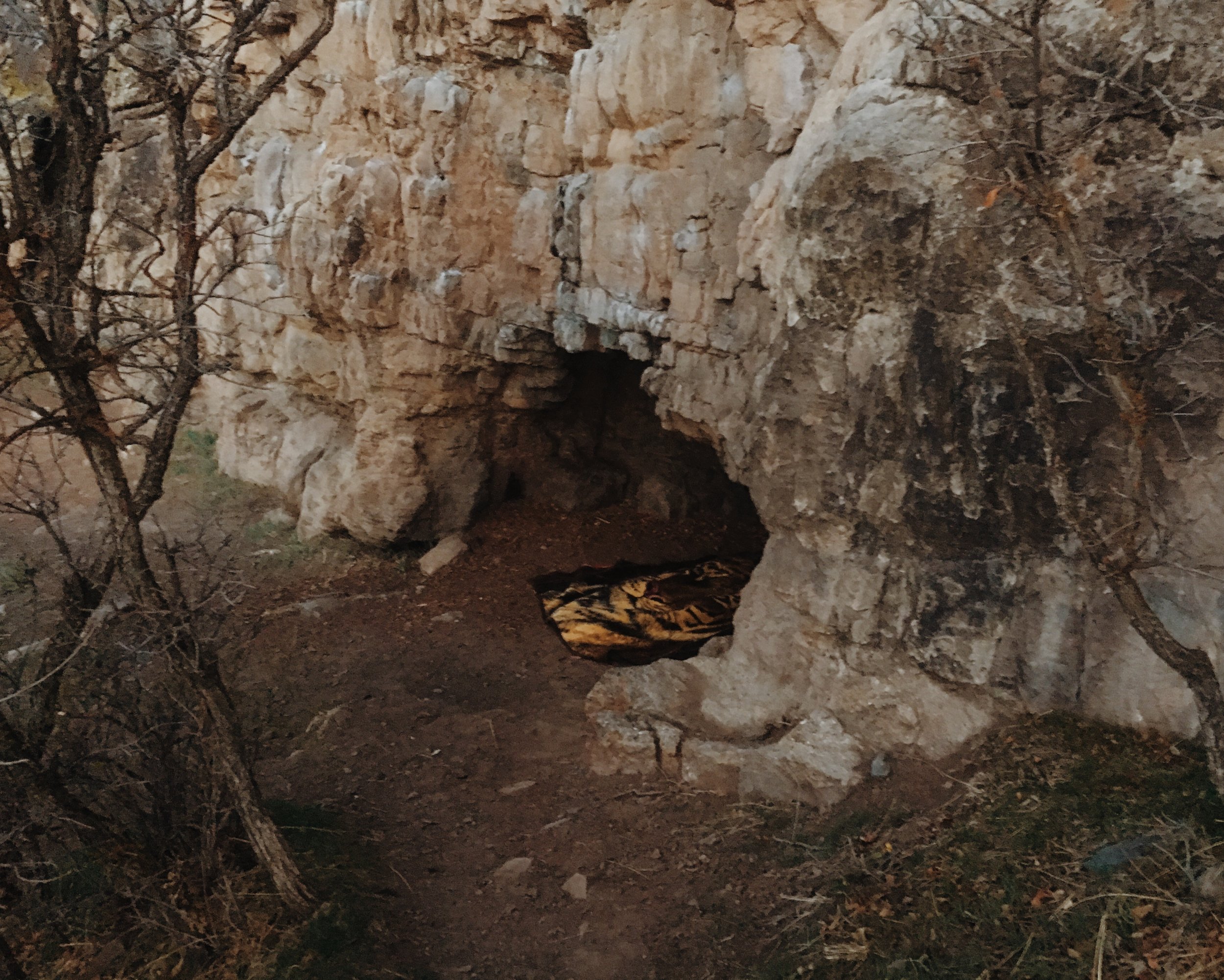 Photo Apr 14, 6 23 28 AM.jpg