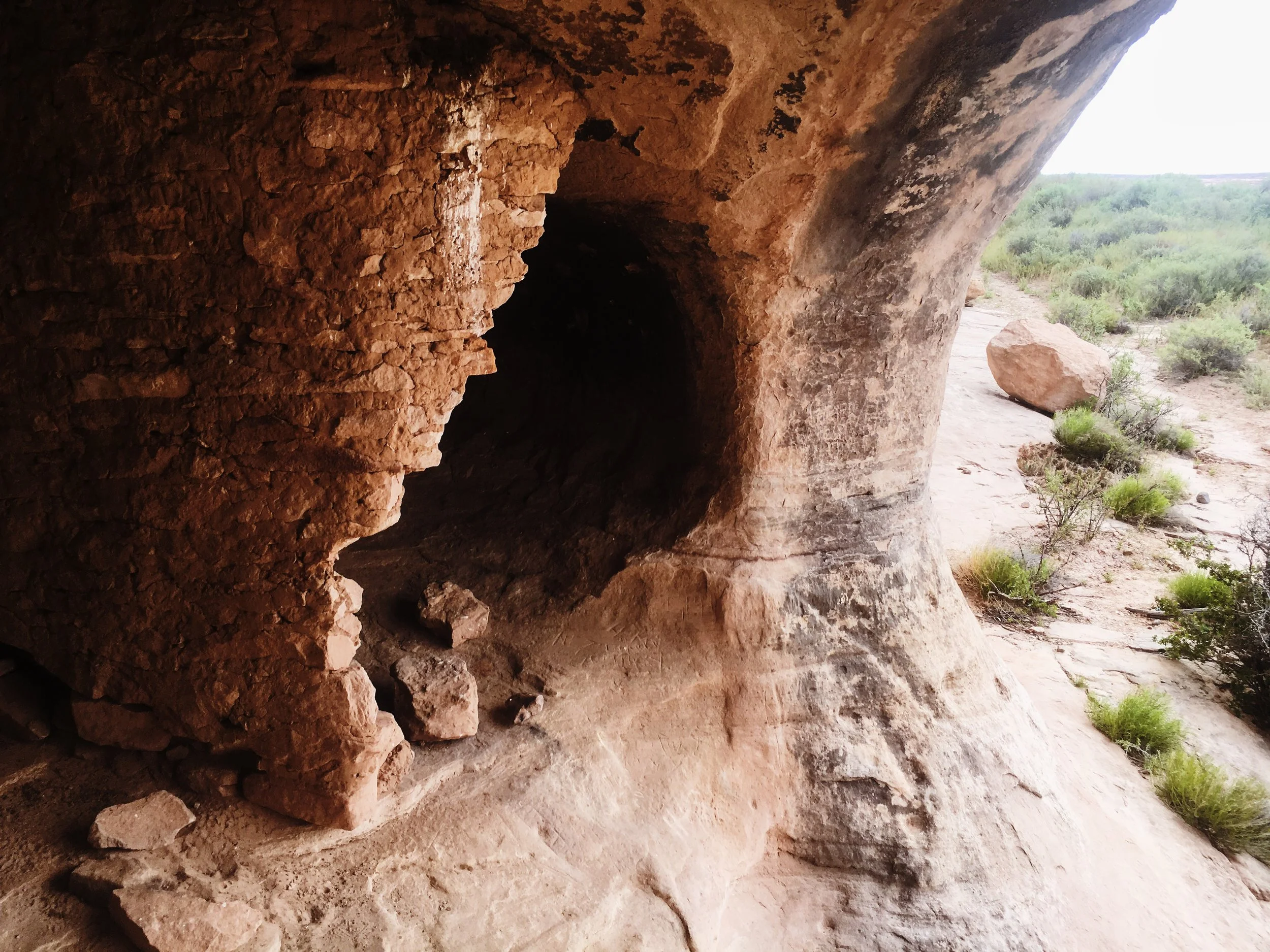 Photo Apr 14, 10 51 06 AM.jpg