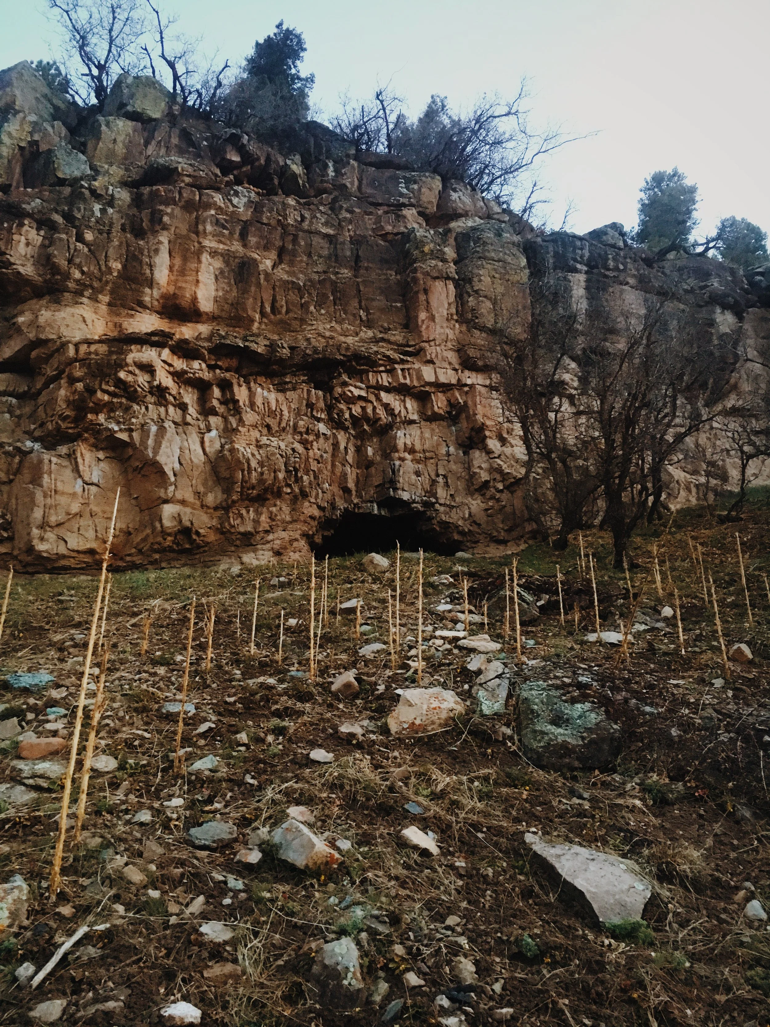 Photo Apr 14, 6 27 48 AM.jpg