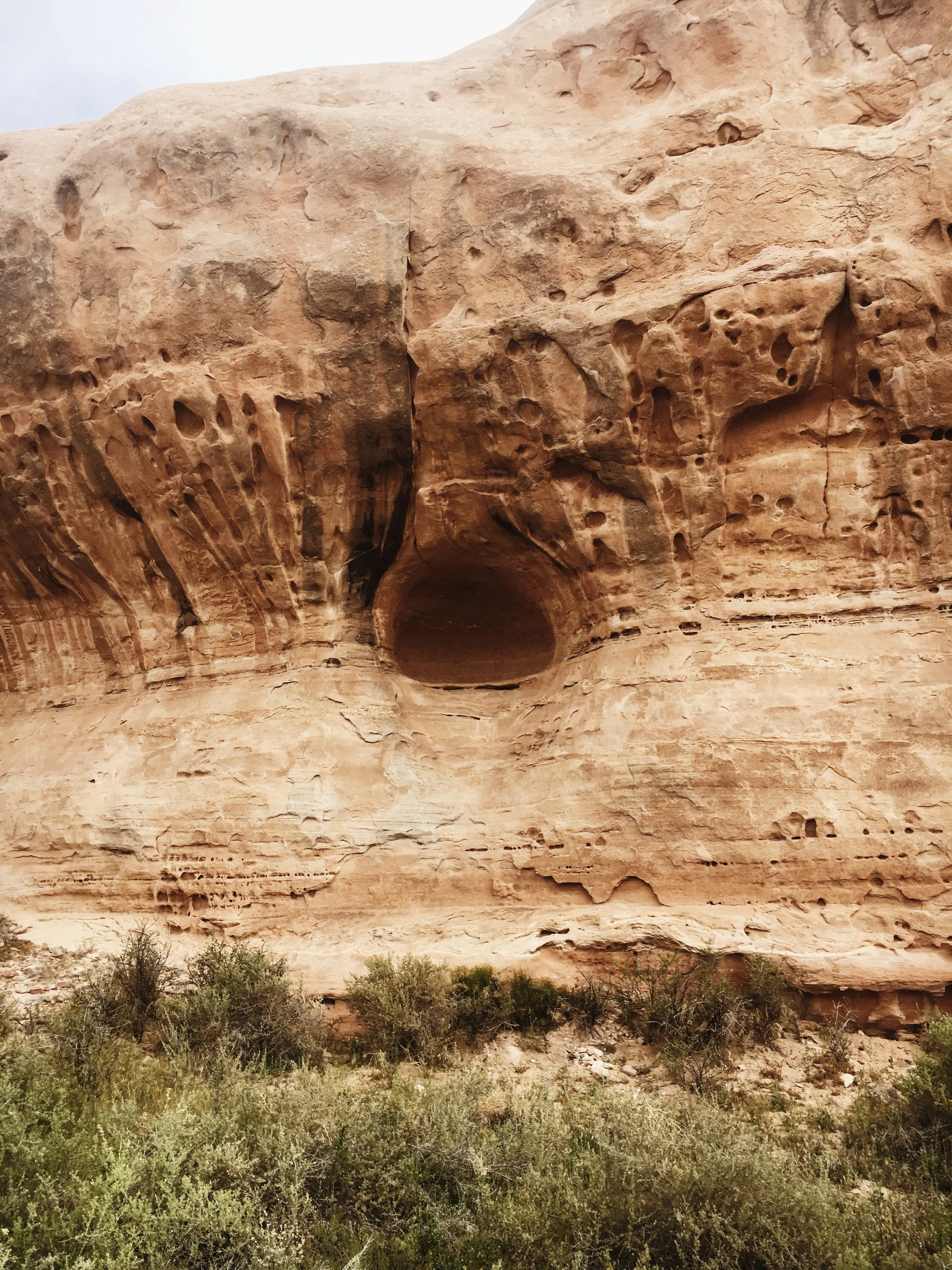 Photo Apr 14, 10 54 21 AM.jpg