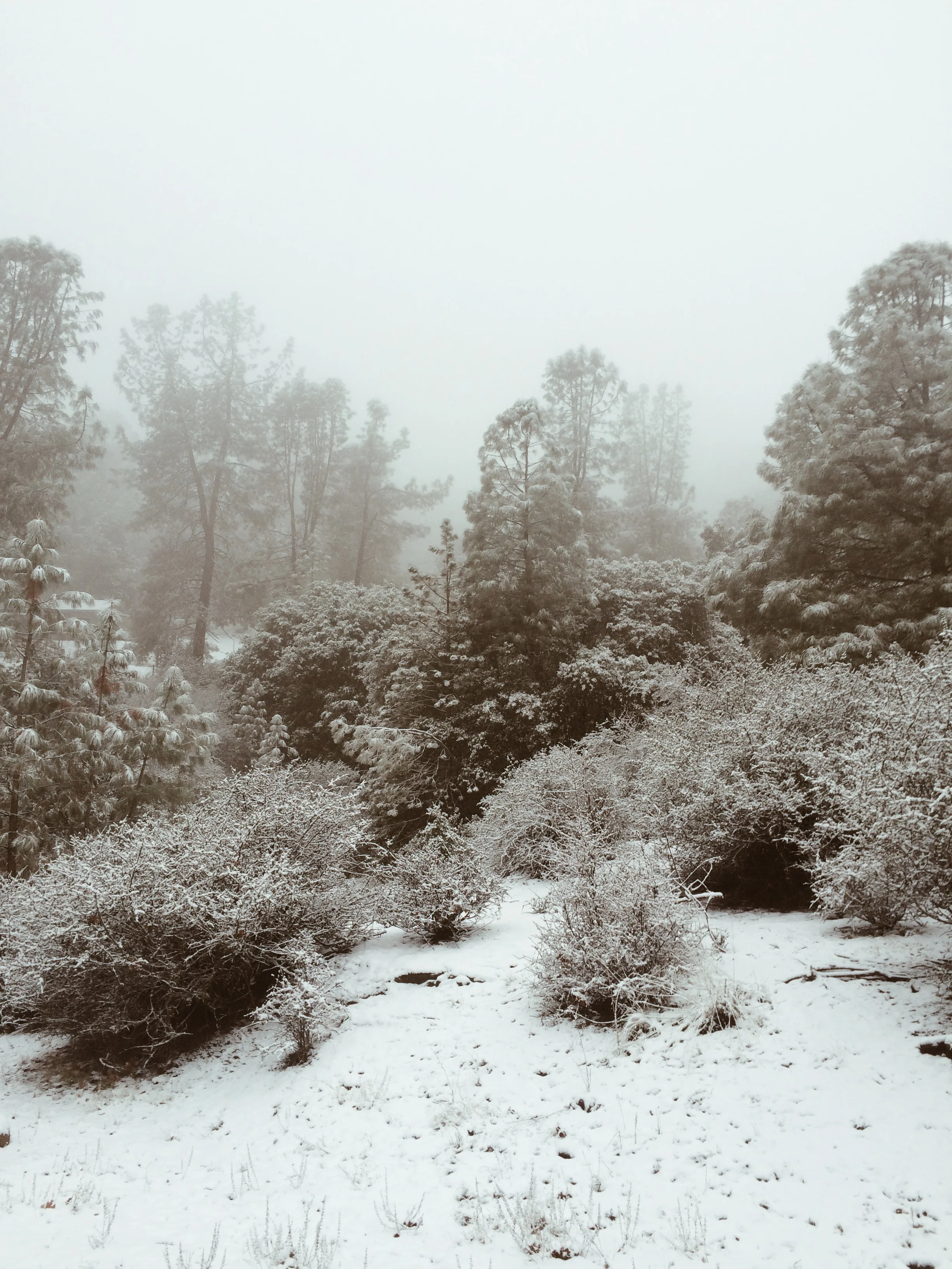 Photo Dec 24, 8 10 29 AM.jpg