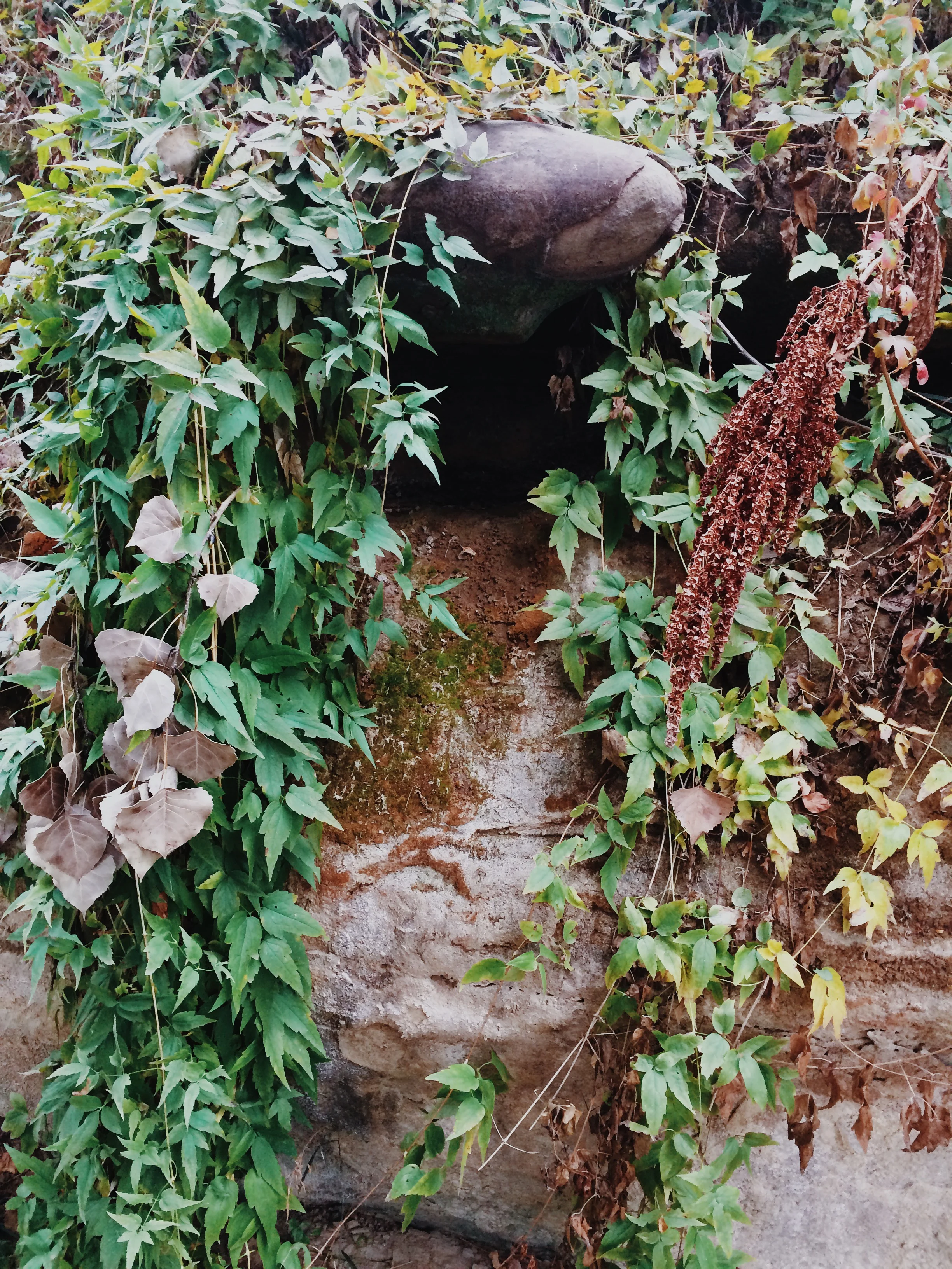 Photo Oct 04, 4 43 29 PM.jpg