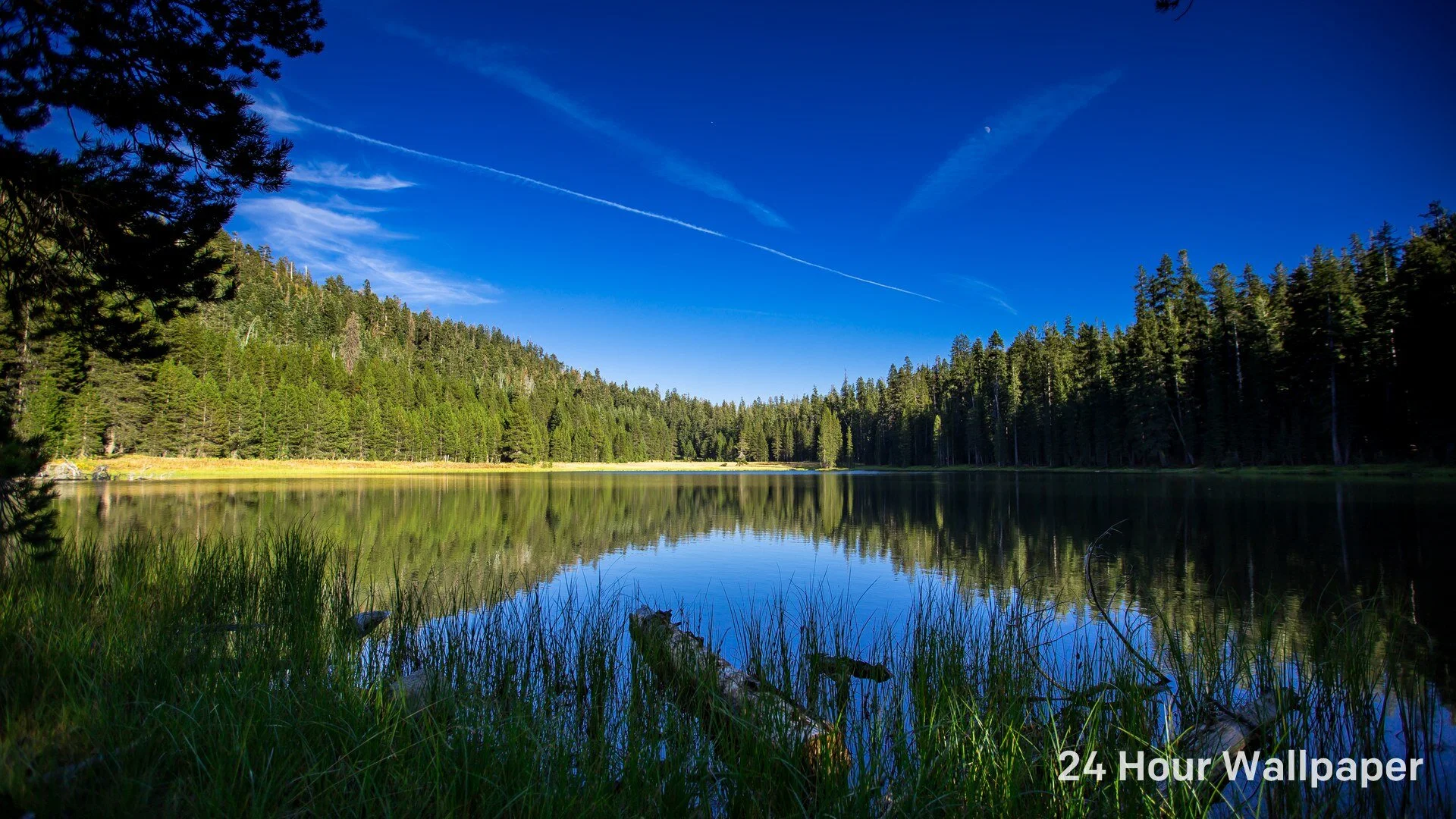 Can T Download Mac Mojave