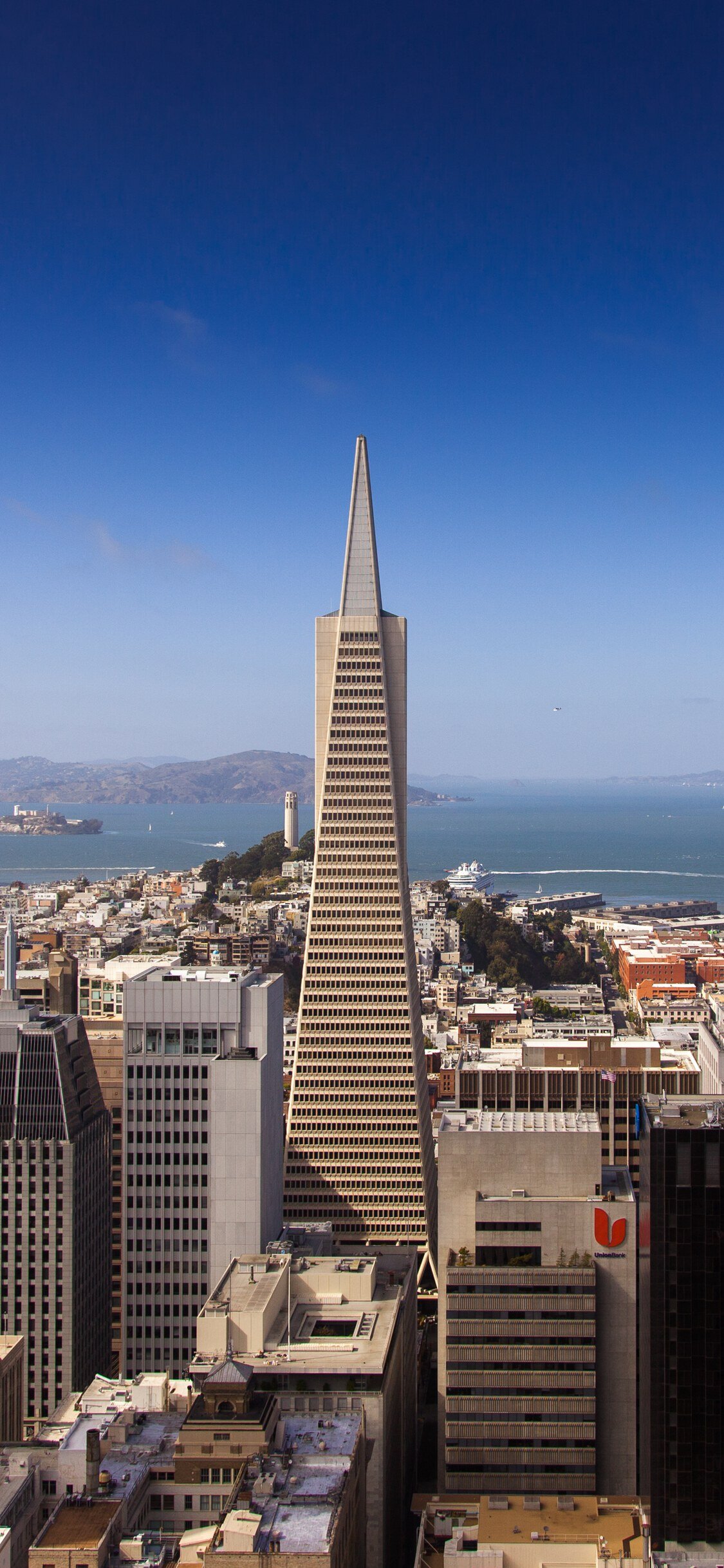 San Francisco Phone Wallpapers  Top Free San Francisco Phone Backgrounds   WallpaperAccess