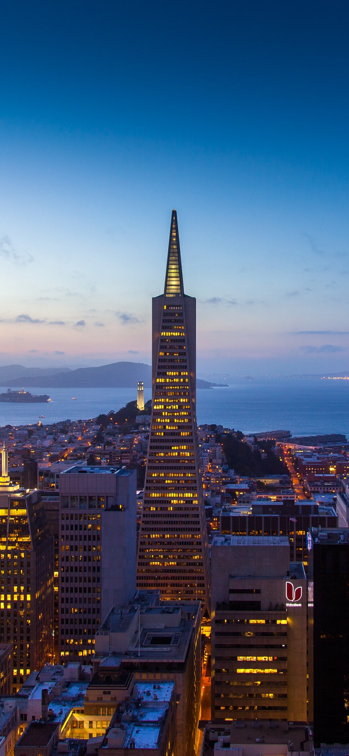 100 San Francisco Pictures Stunning  Download Free Images on Unsplash