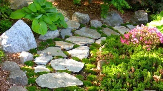 stepping-stone-walkway-with-moss-matthew-giampietro-garden-design-img~e611031406e5ab2a_4-8926-1-60e03d7.jpg
