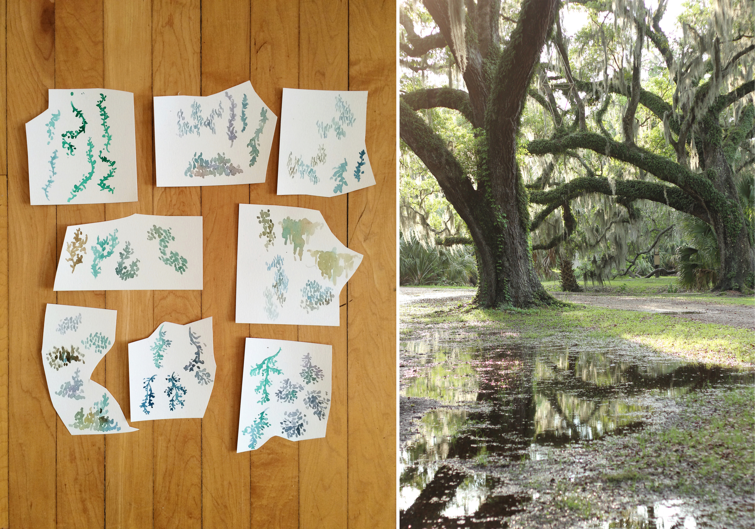 Left: pieces of plant paintings used for layering, right: ancient trees draped in Spanish moss in City Park from my trip to New Orleans last year