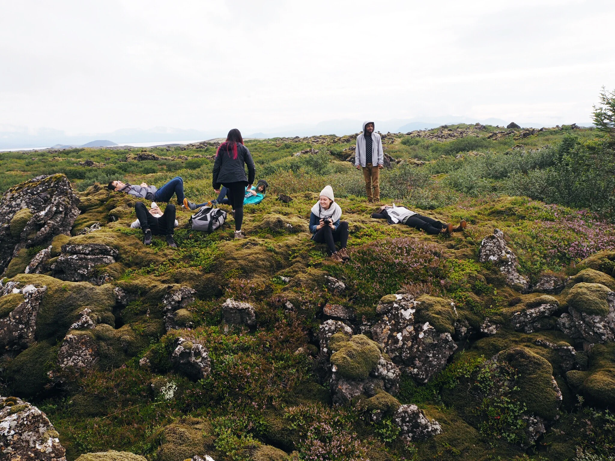 T his was literally just the side of the road between the house and Selfoss. We pulled the van over just to lie on the moss.