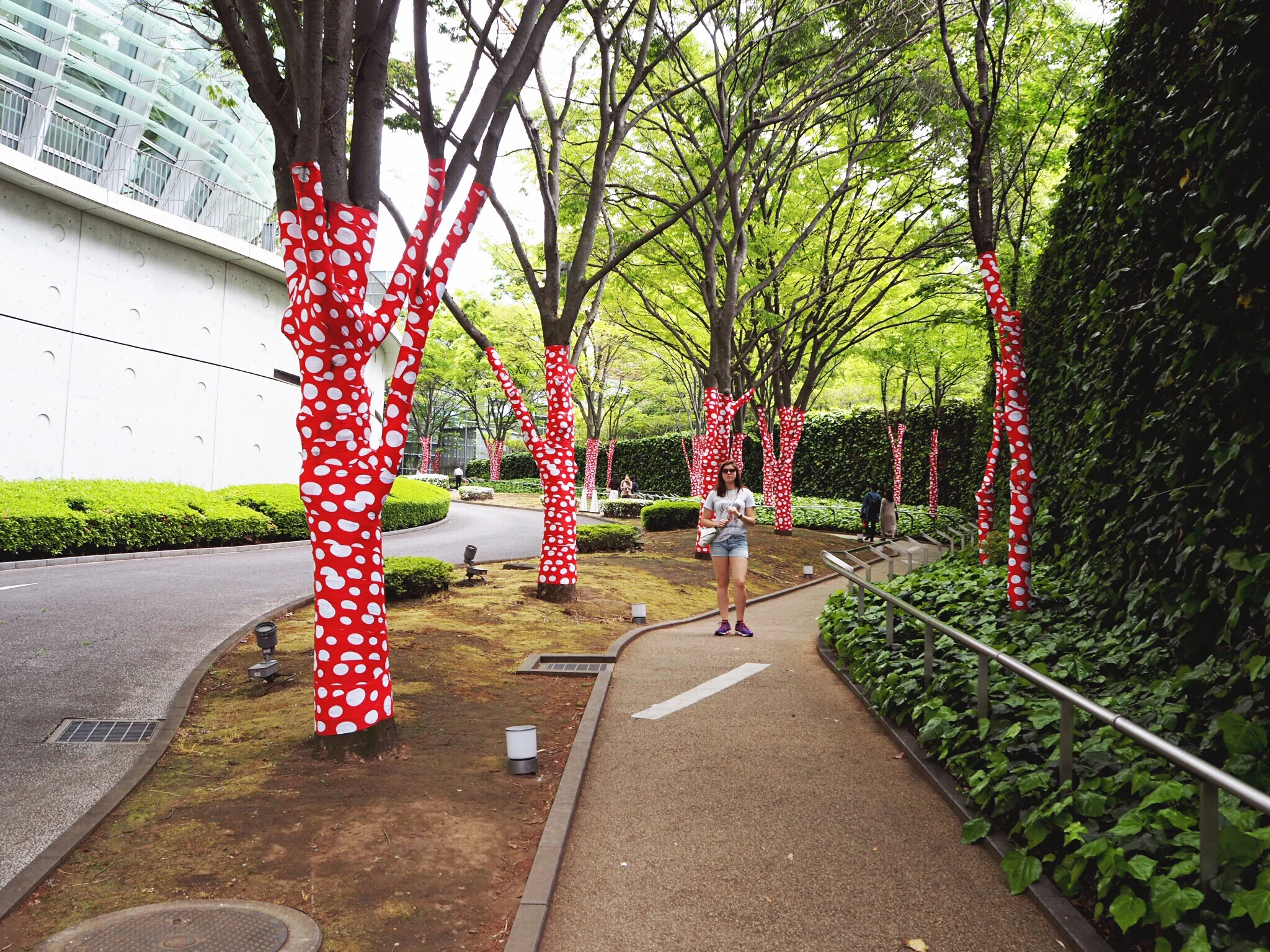 Wrapped trees for the Yayoi Kusama exhibit