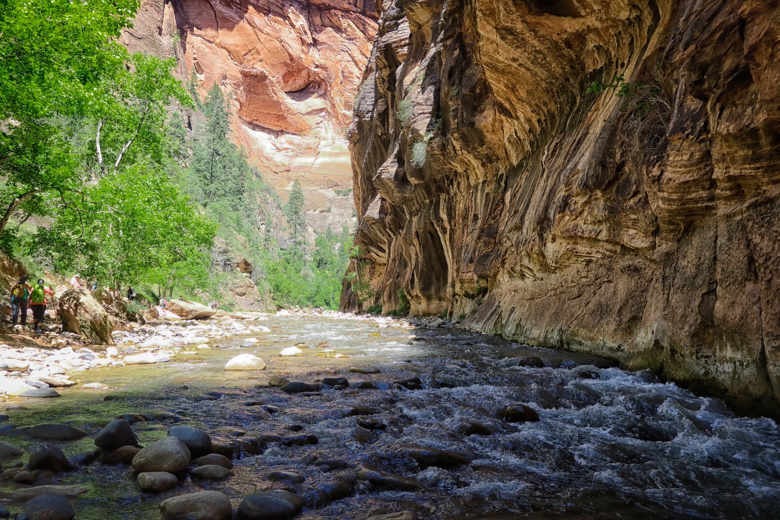 In the Narrows Canyon-Zion, Utah