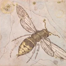 Apis-225x225.jpg
