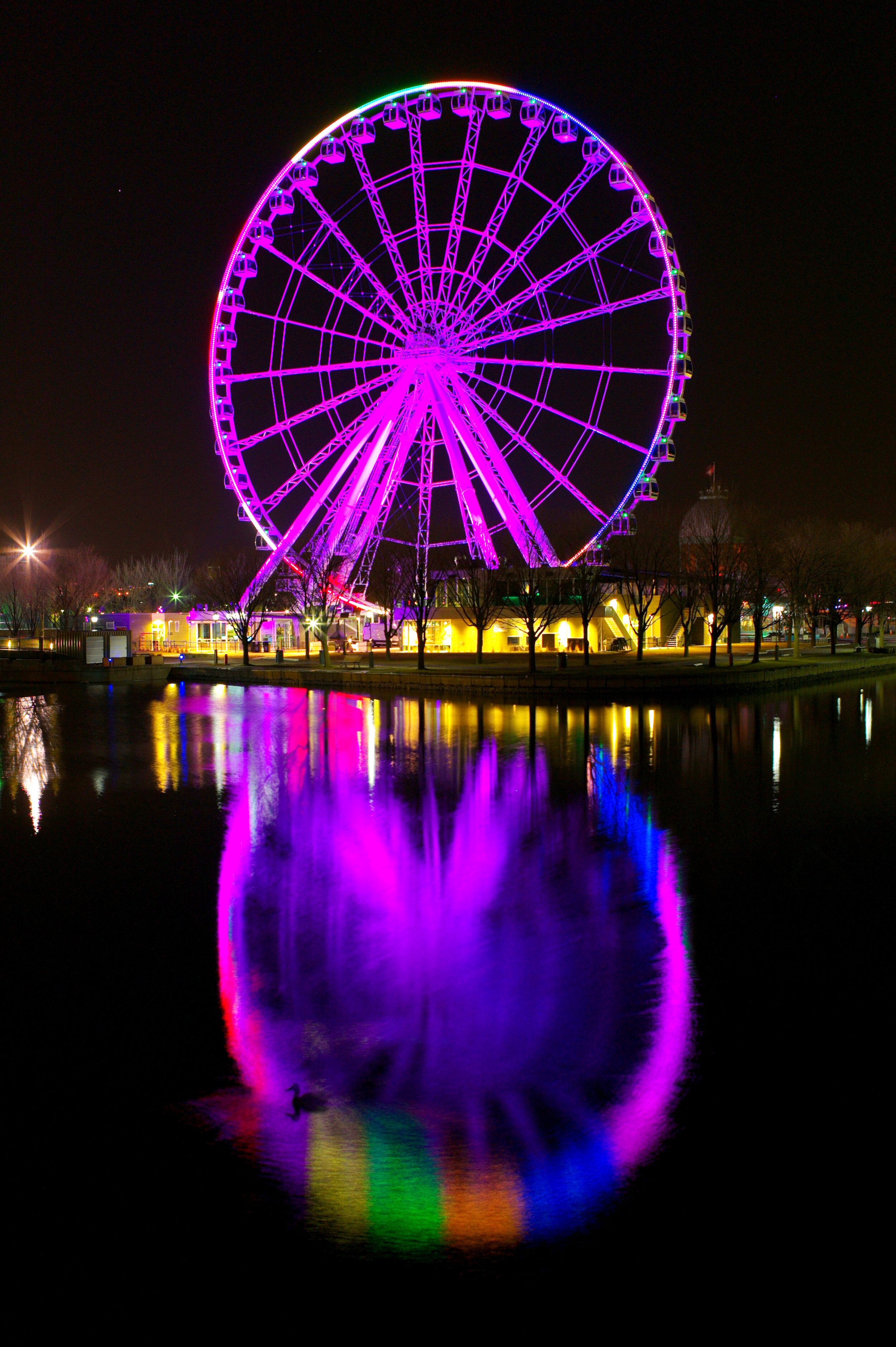 Ferris Wheel and Duck, Old Port, Montreal