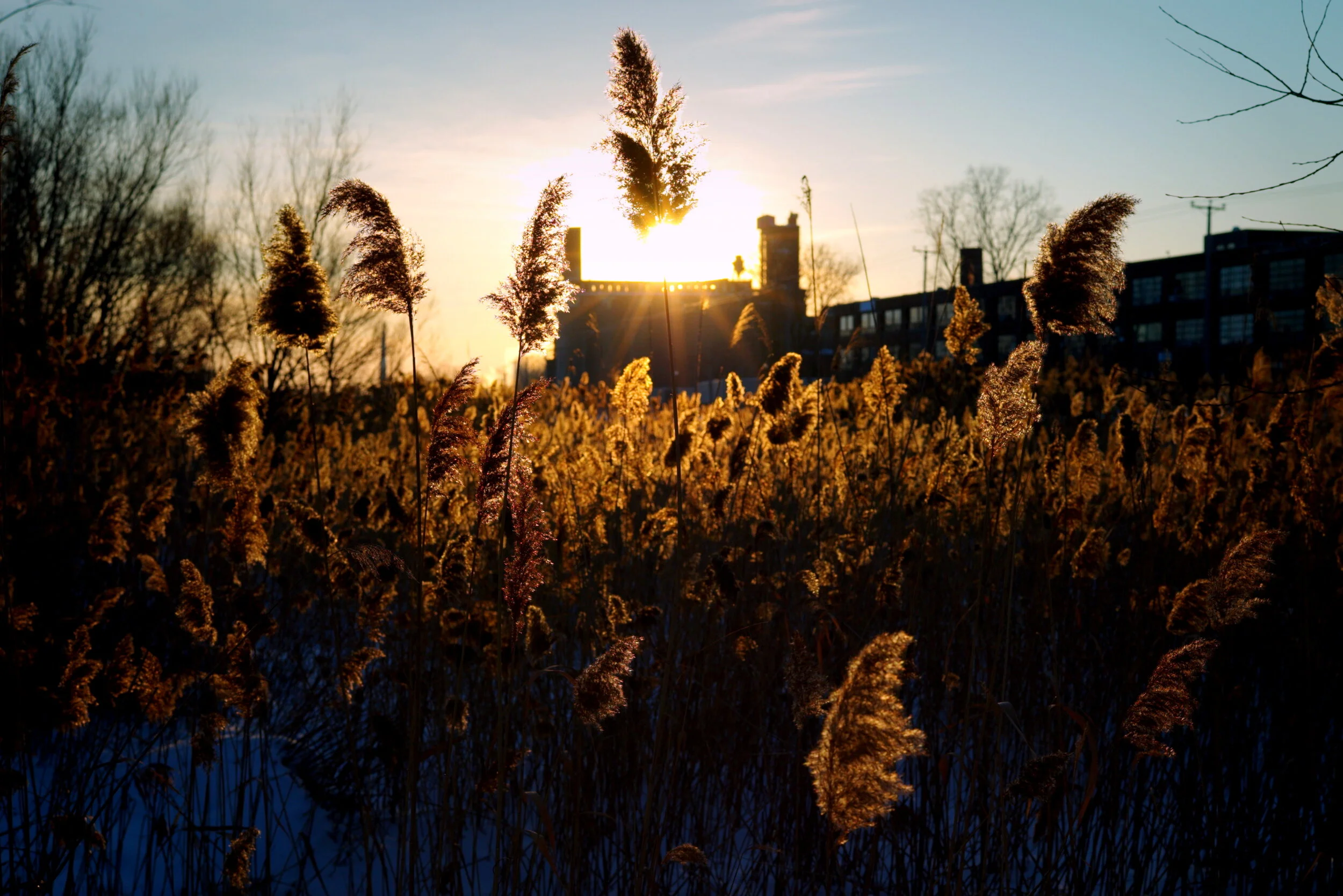 Canada Malting Plant (from Lachine canal), Montreal