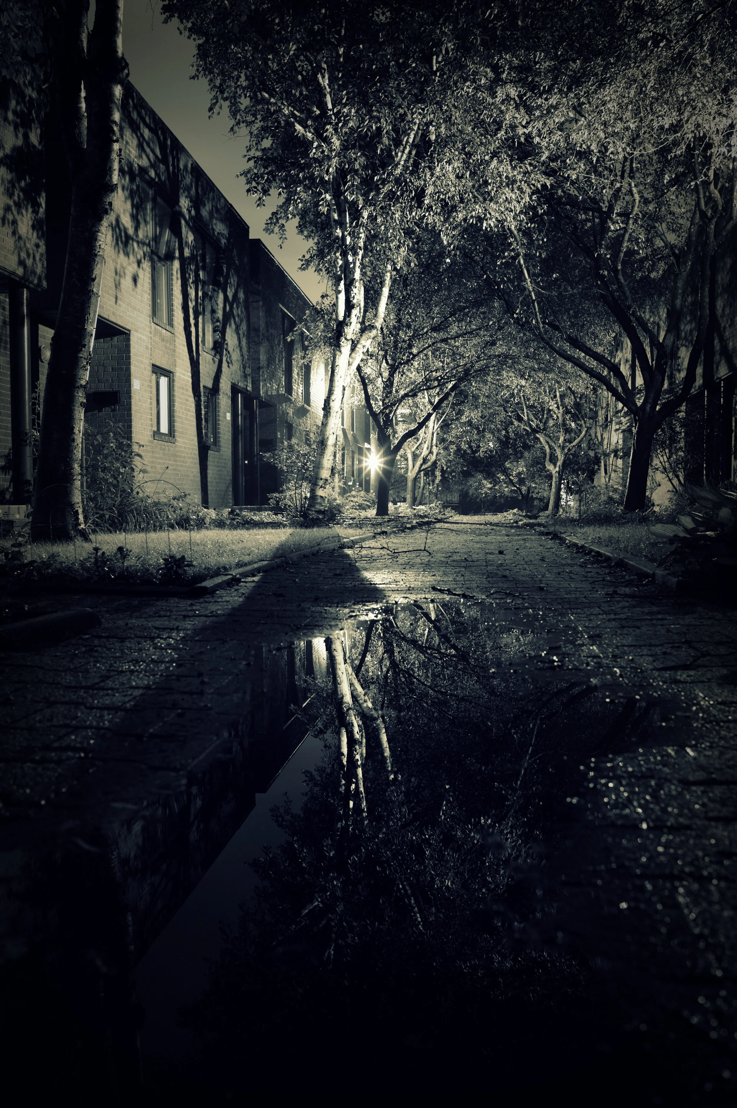 Alley after the rain, Montreal