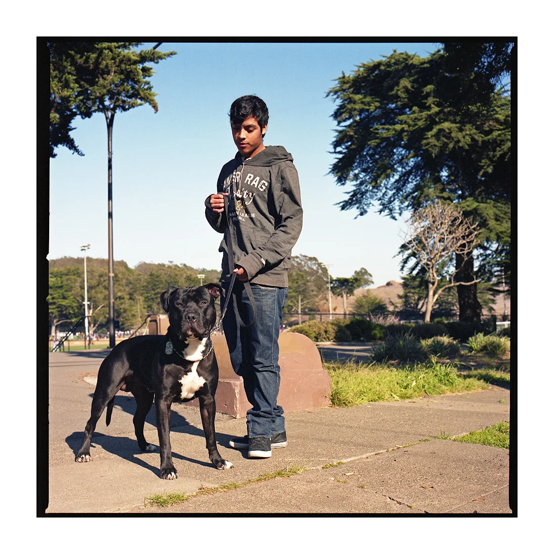 Bruno 