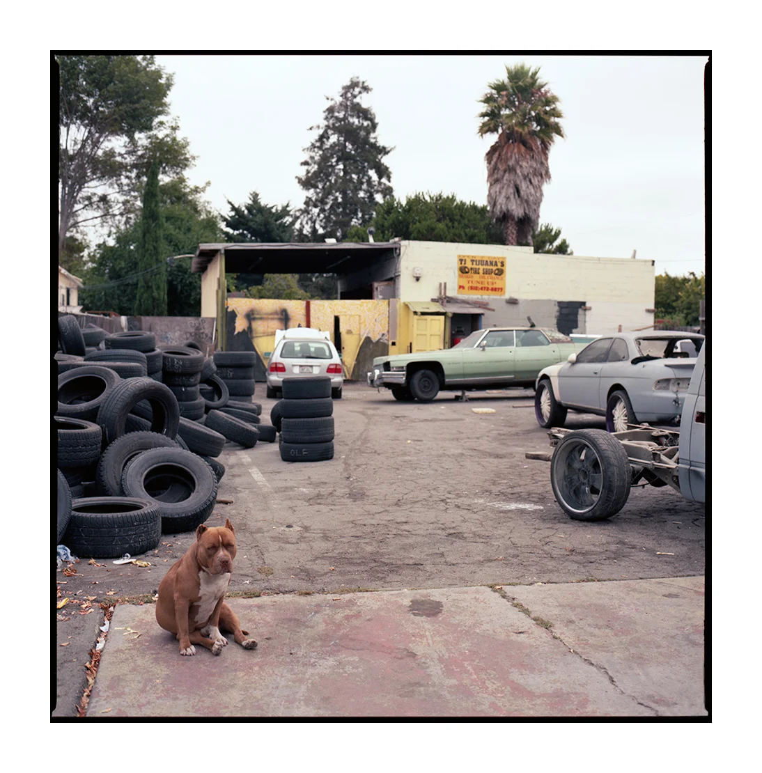  Oakland 