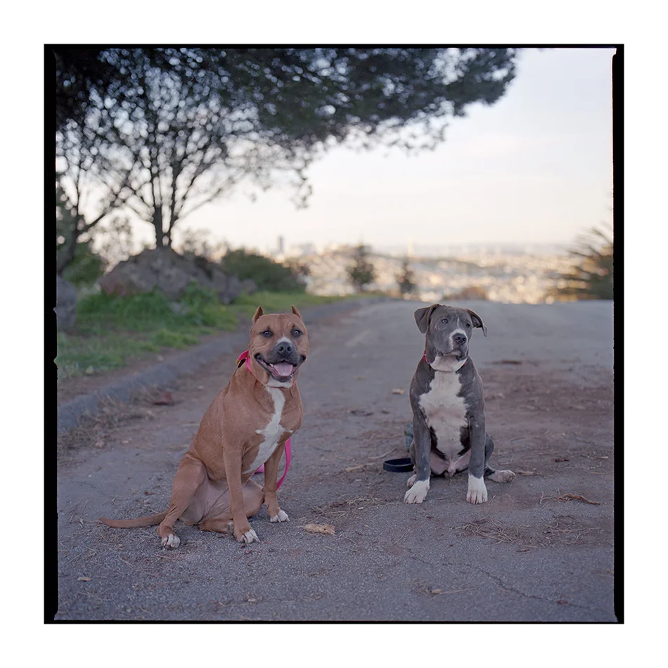 Roxy & Rhino 