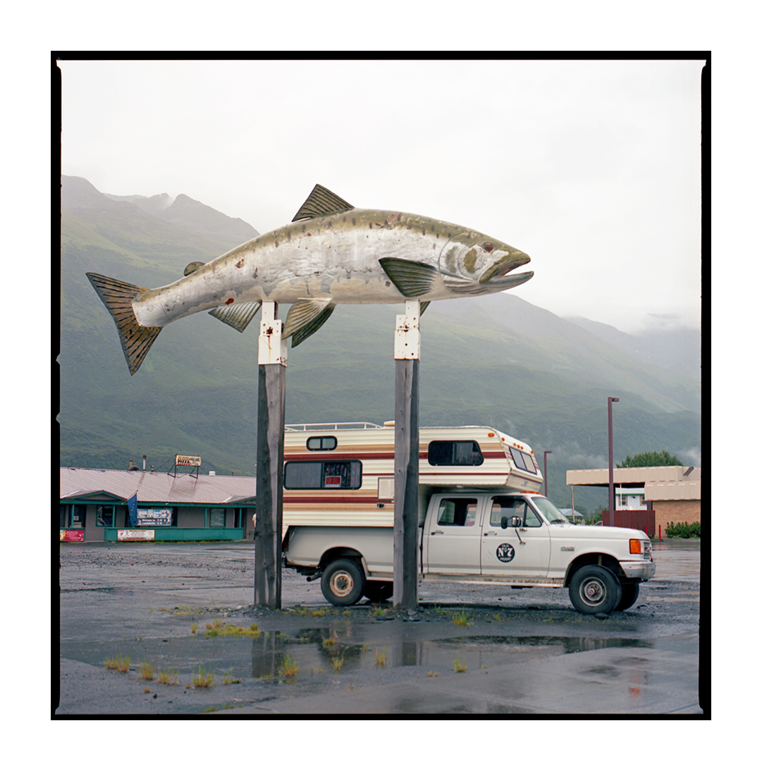 The Salmon Capital 