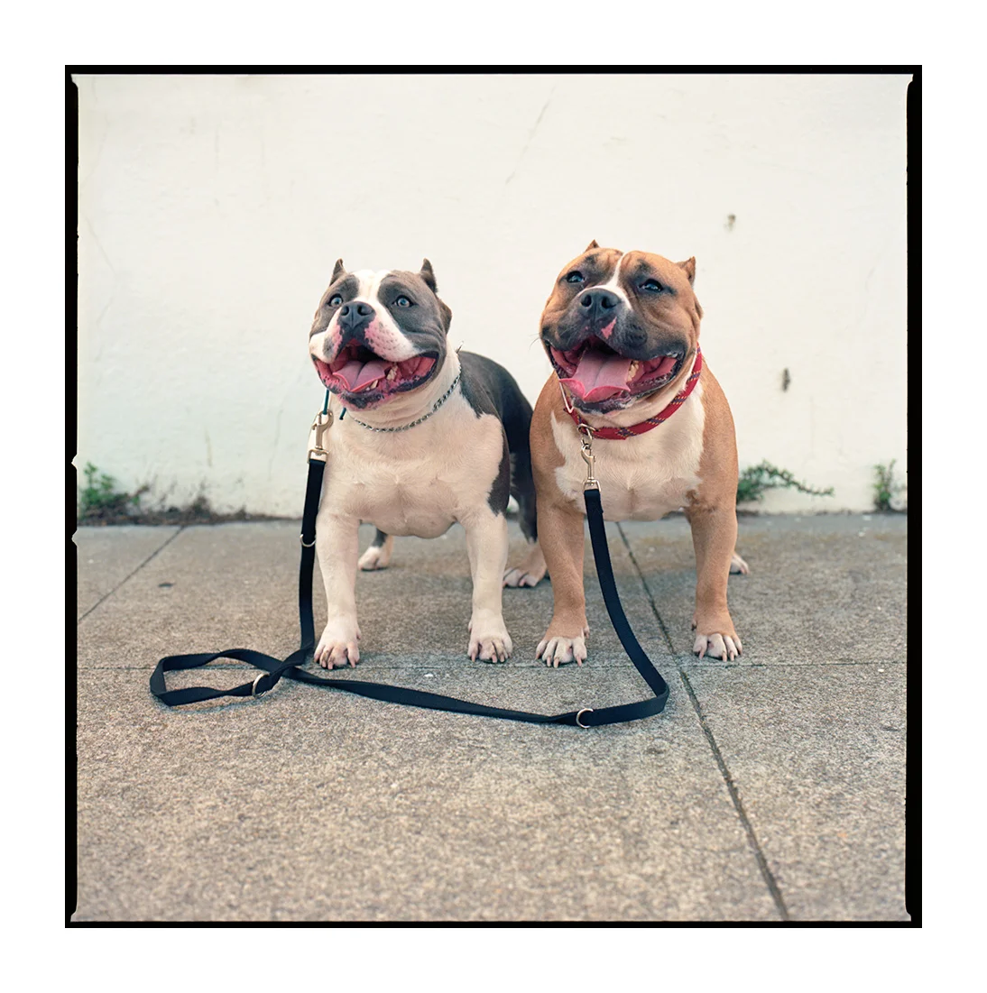 Theo & Leon