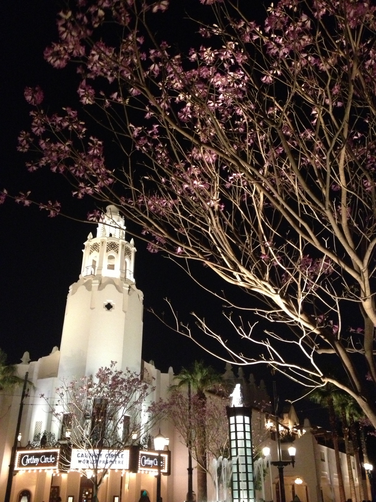 California Adventure Carthay Circle
