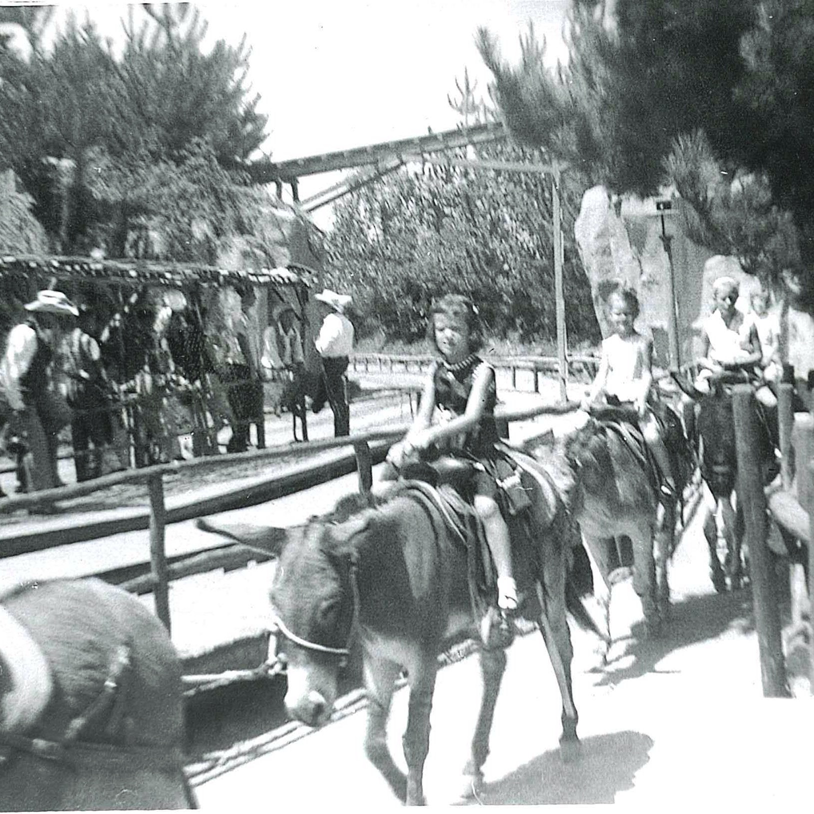 Mule Ride through Natures Wonderland 1959
