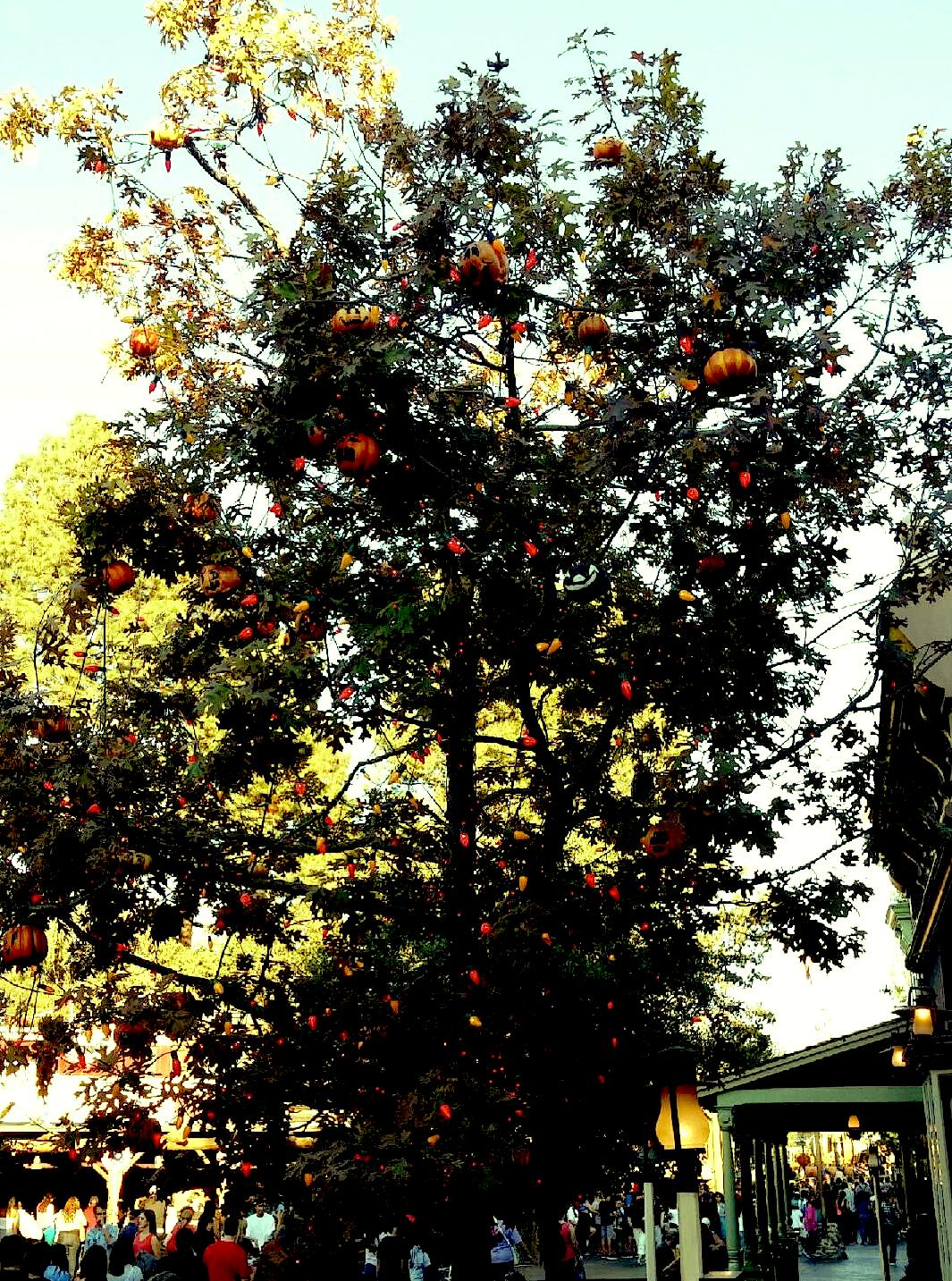 Bye Bye Halloween Tree