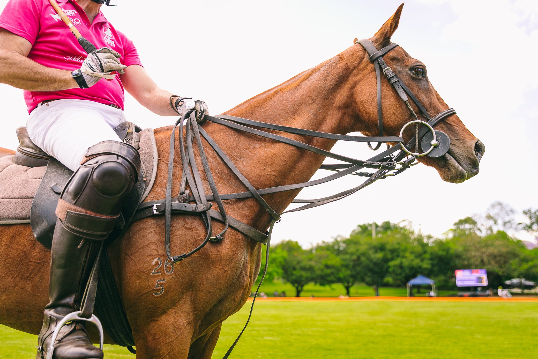 Polo In The City_Brisbane_20112022_Bianca Holderness-27.jpg