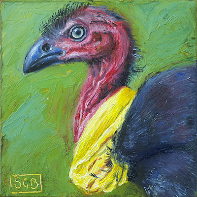Australian Brushturkey, oil & beeswax on board, 6"x6", ©GallowayBrown