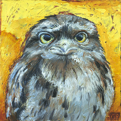 Tawny Frogmouth