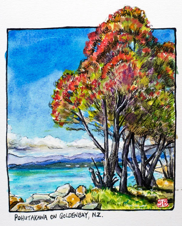 Pohutakawa on Golden Bay