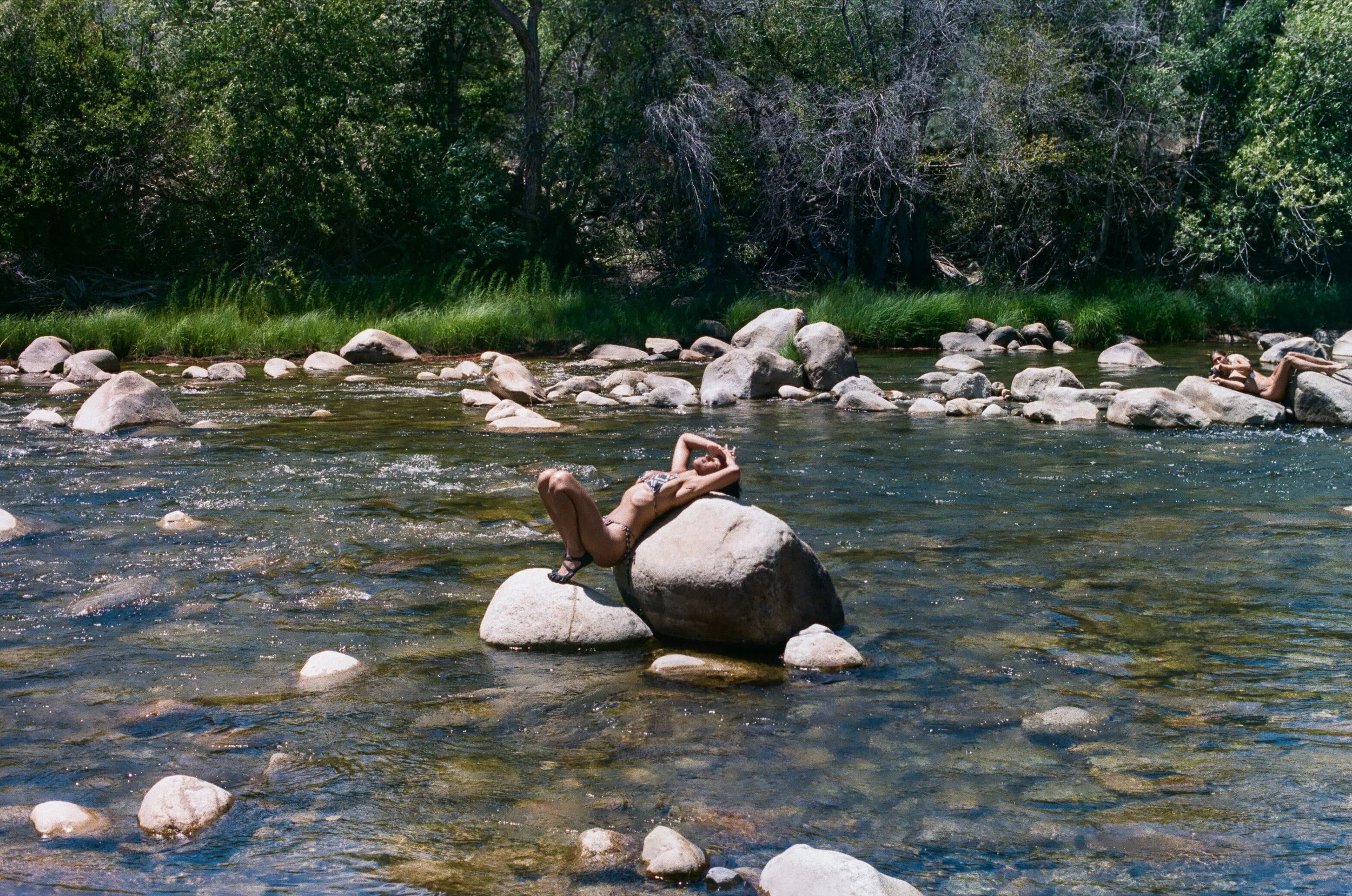 Sequoia Camping Edits-1.jpg