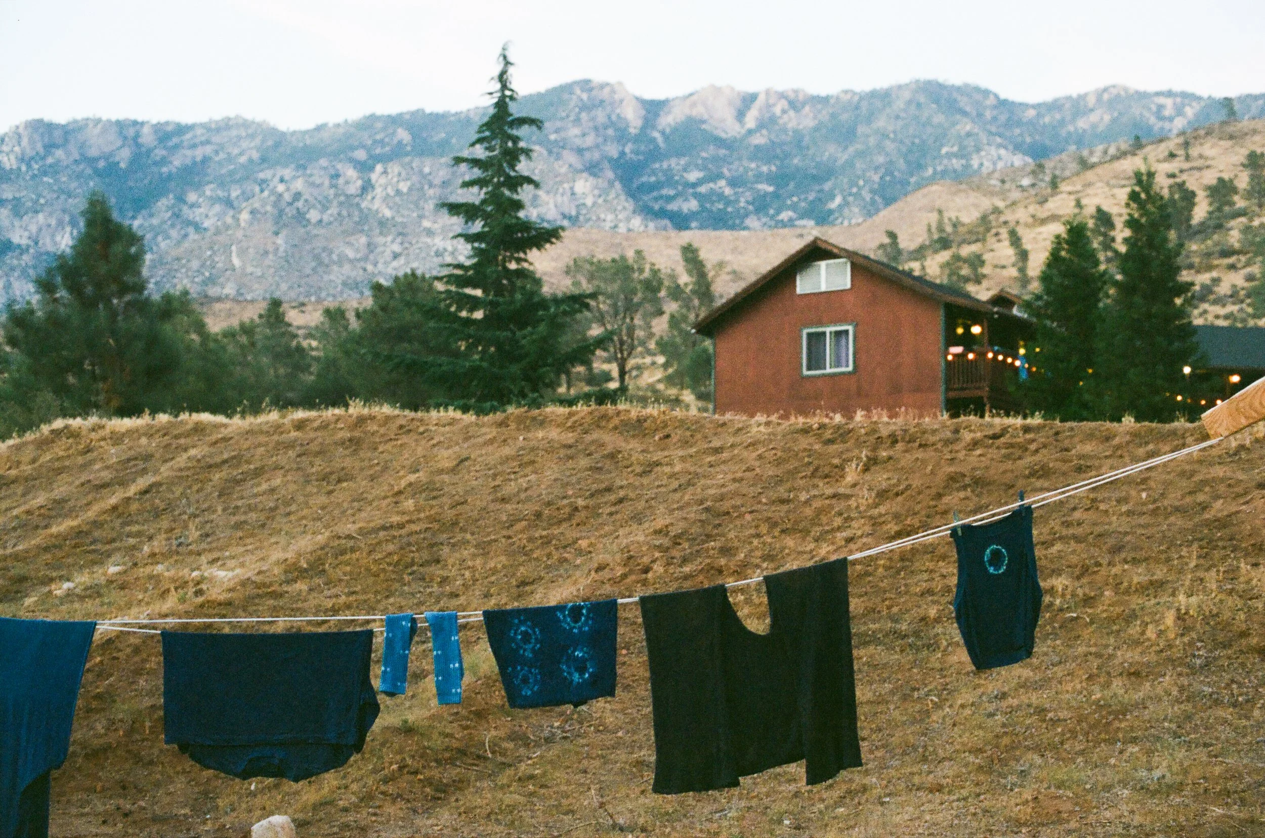 Sequoia Camping Edits-19.jpg