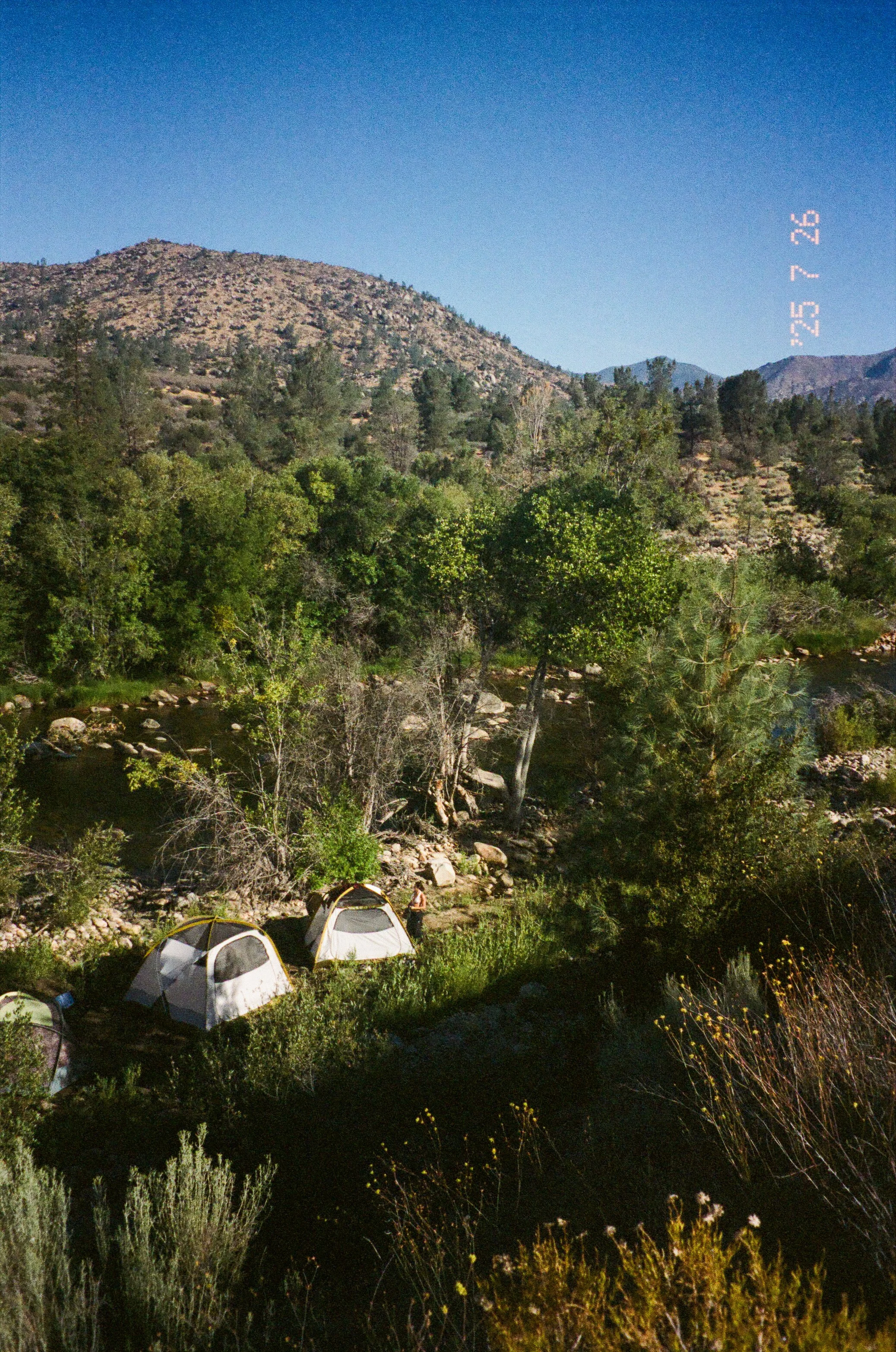 Sequoia Camping Edits-26.jpg