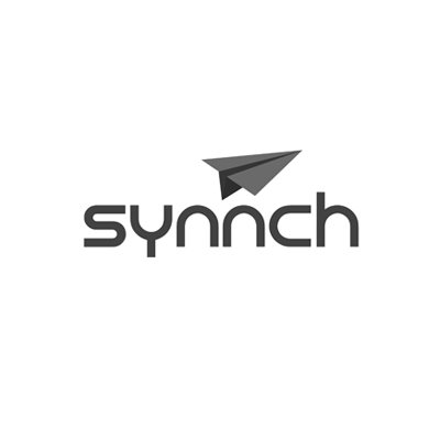 synnch1.jpg