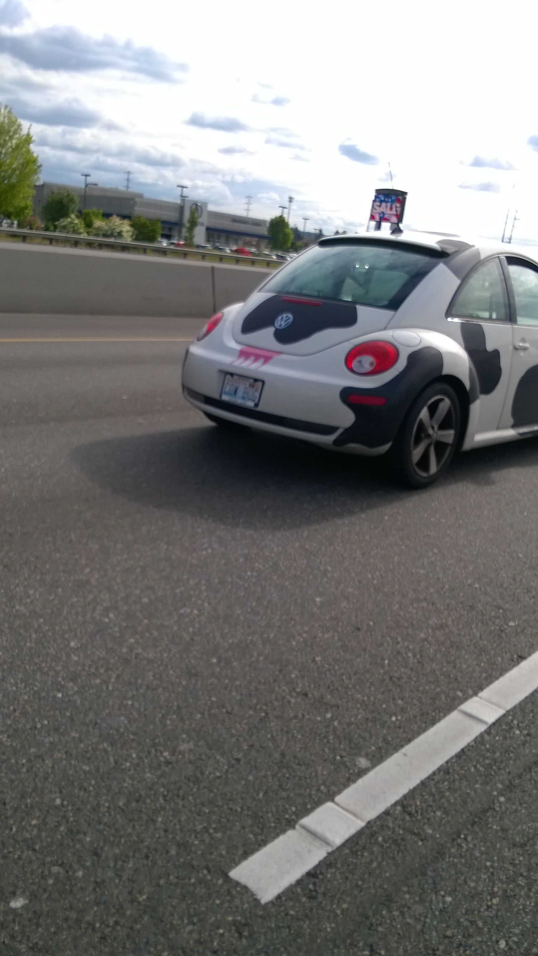 yes, that does say "Cow Bug"