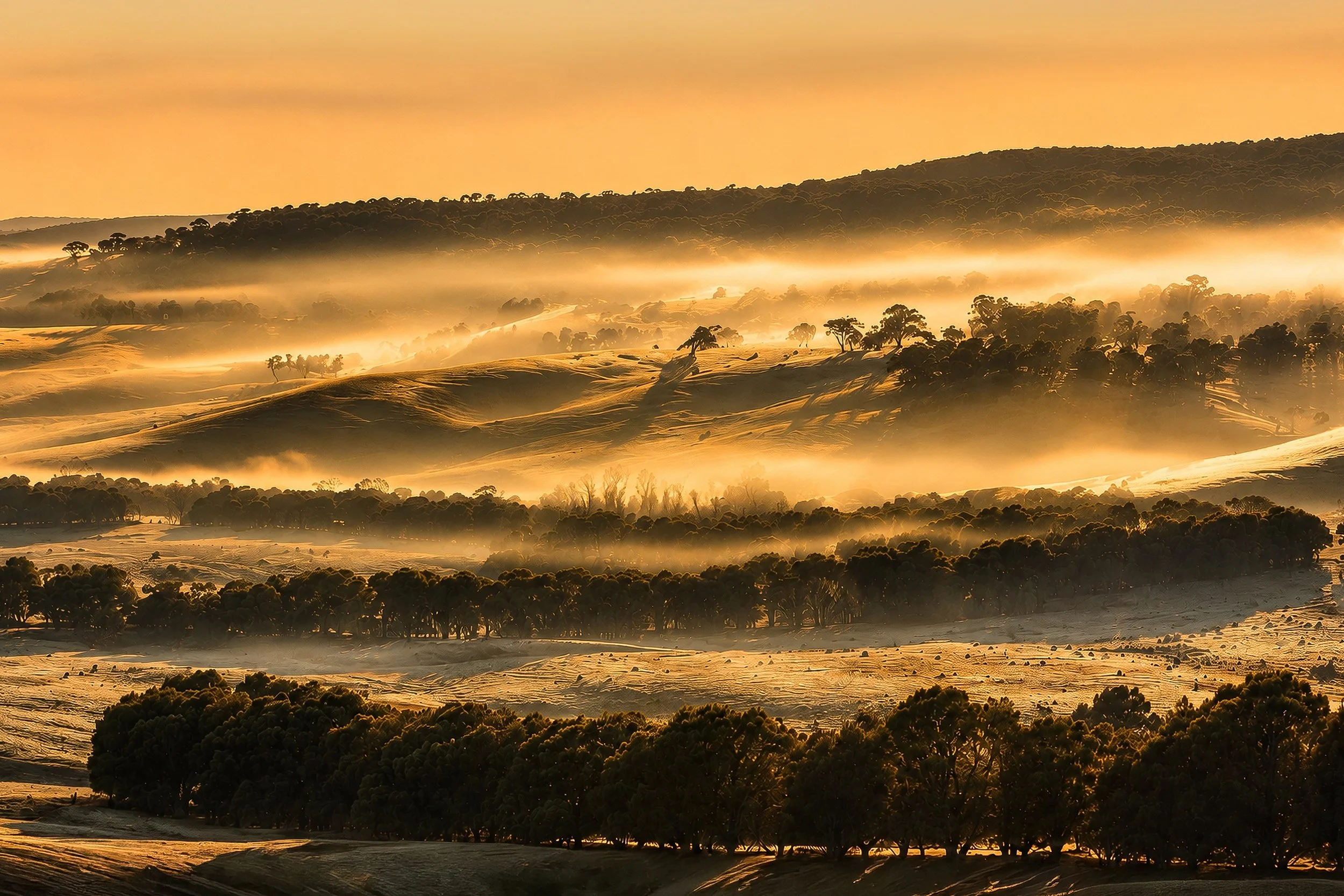Golden morning mist drifts across frost-covered rolling hills in the Australian countryside. A fine art landscape photograph capturing the quiet beauty of winter sunrise, museum-quality wall art by David Lindsay.