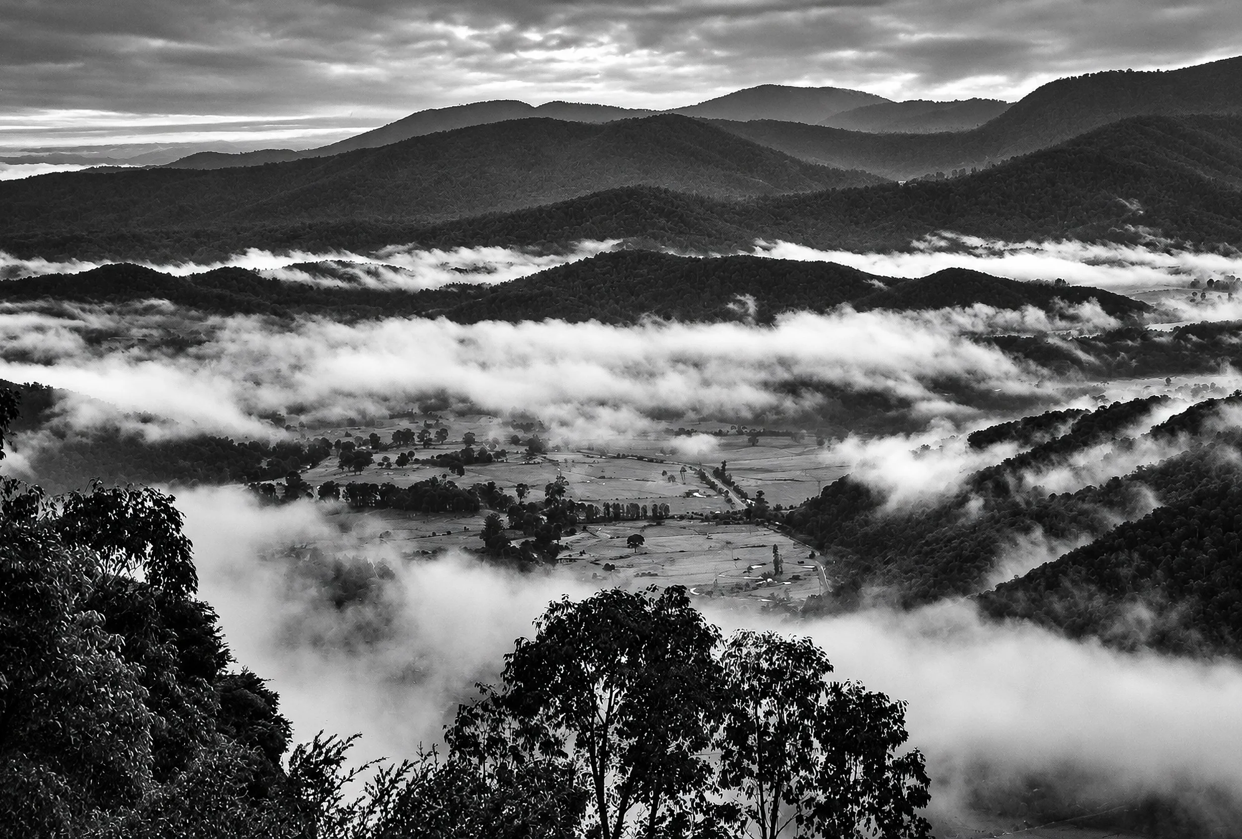 Above the Cloud - From a high vantage point, the mountains stretch towards the horizon while banks of mist settle into the valleys below. The dark wooded slopes and luminous cloud create a powerful study in depth, atmosphere and changing weather.