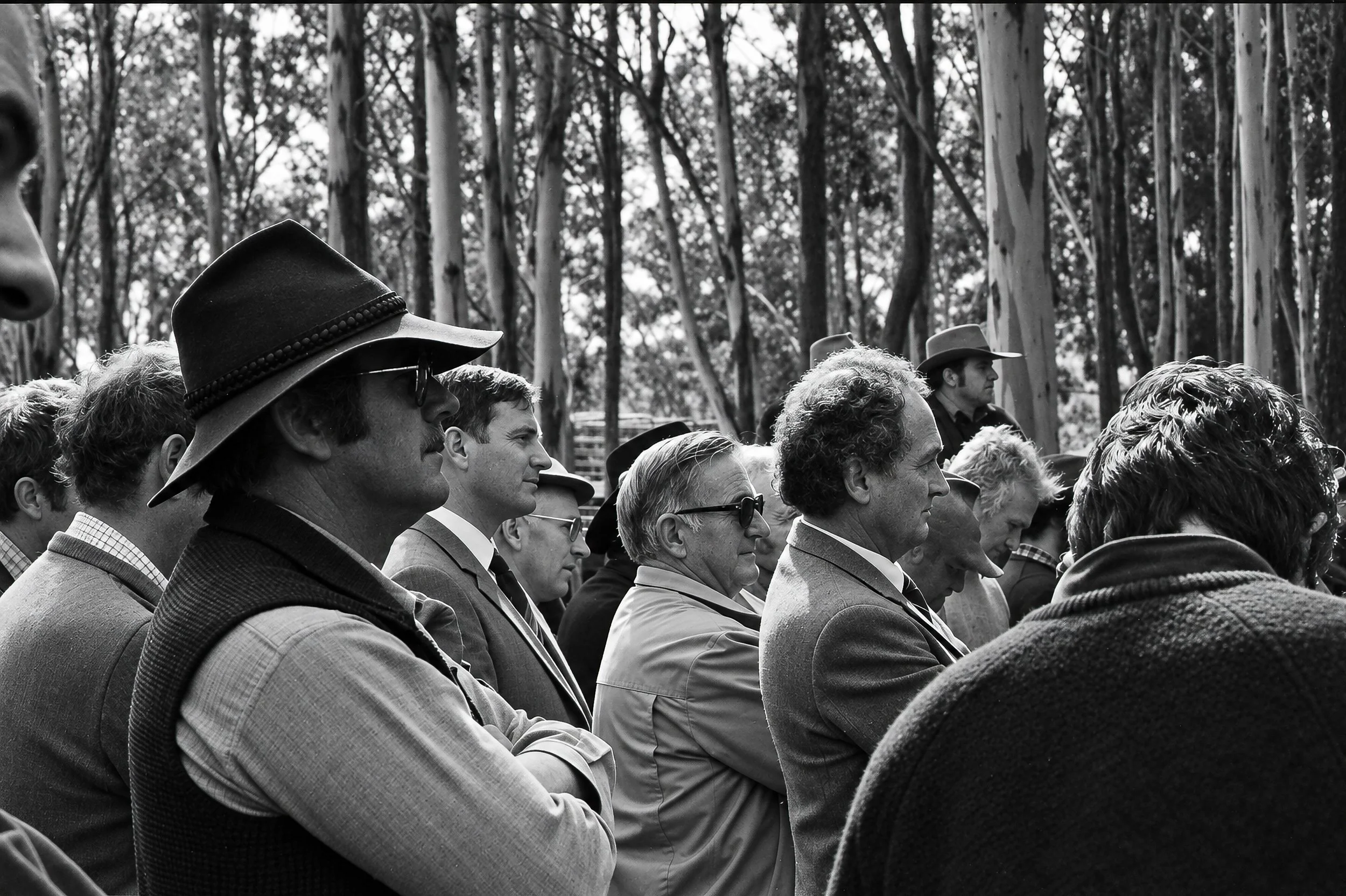 Listening - A group stands closely together beneath the eucalyptus trees, listening to events unfolding nearby. The mixture of bush clothing, hats, jackets and more formal attire reflects the broad group of people who had gathered at Flinders Park.
