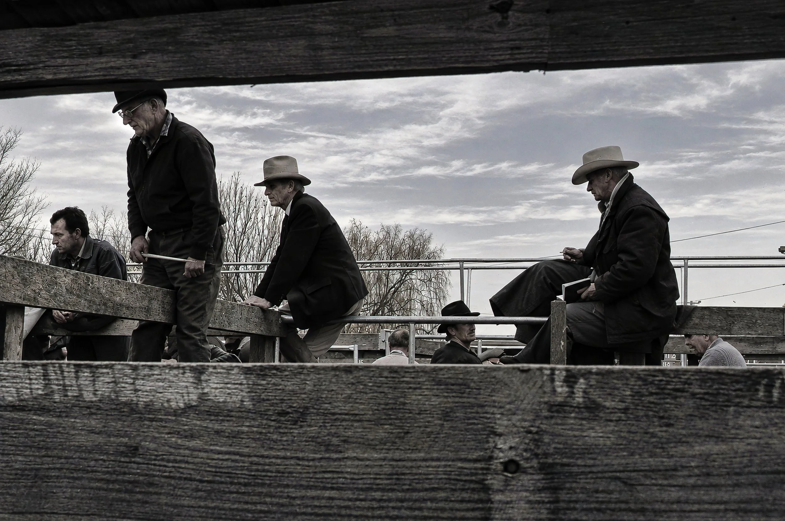 Men of the High Country - Several cattlemen rest along the timber rails of the stockyards while cattle move below them. The photograph concentrates on the men rather than the animals, capturing the distinctive appearance and camaraderie of country pe