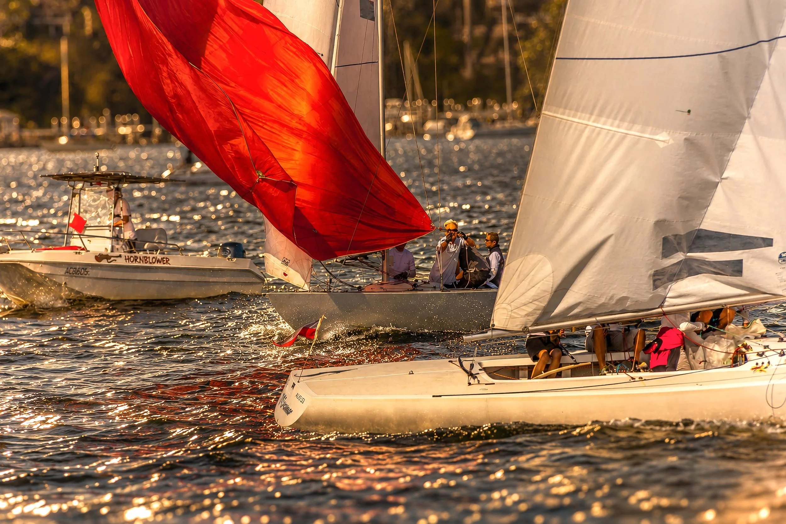 Sailboats racing on a lake during sunset, with crew members onboard and sails catching the wind.