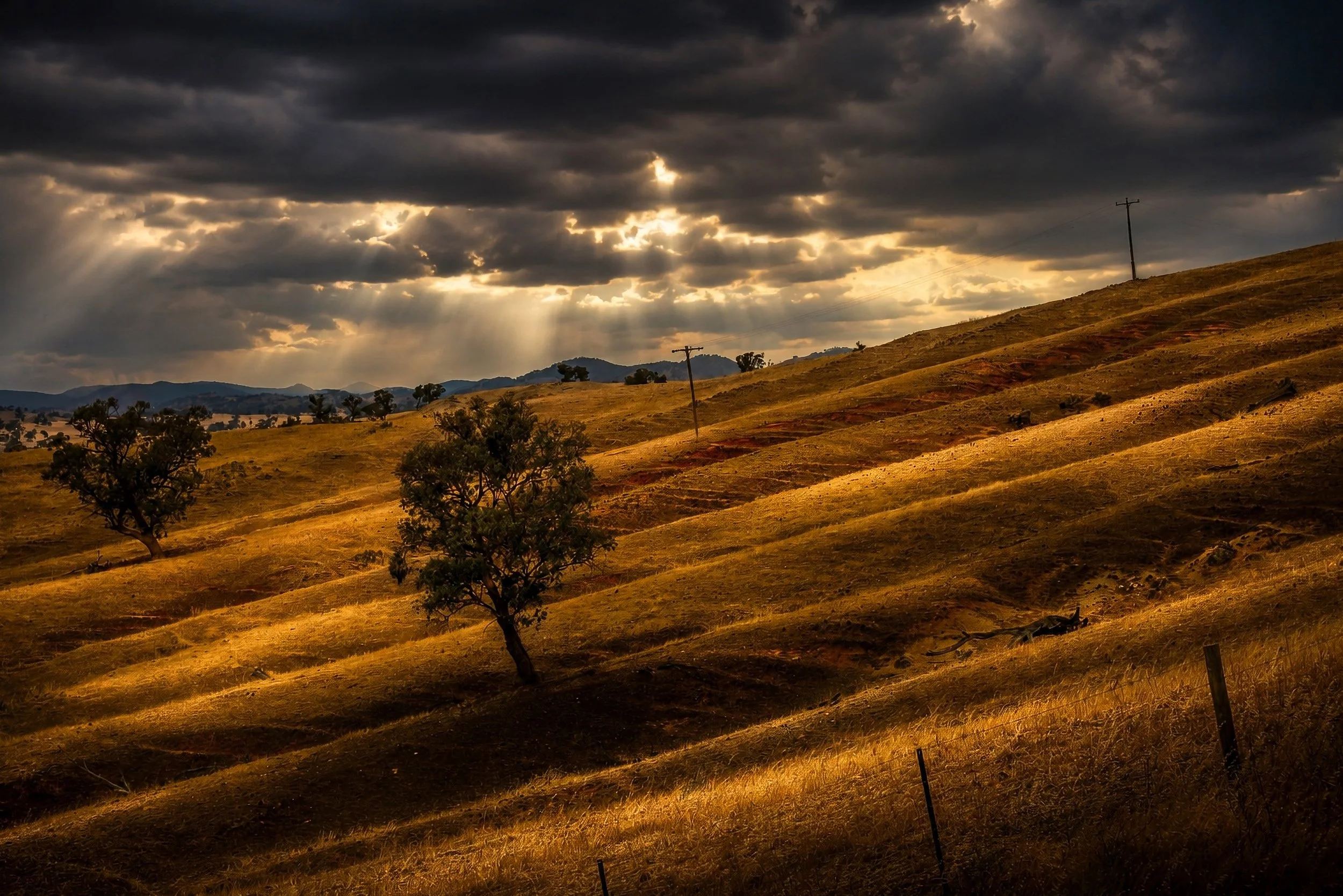 Golden rolling hills are illuminated beneath dramatic storm clouds with shafts of sunlight.
