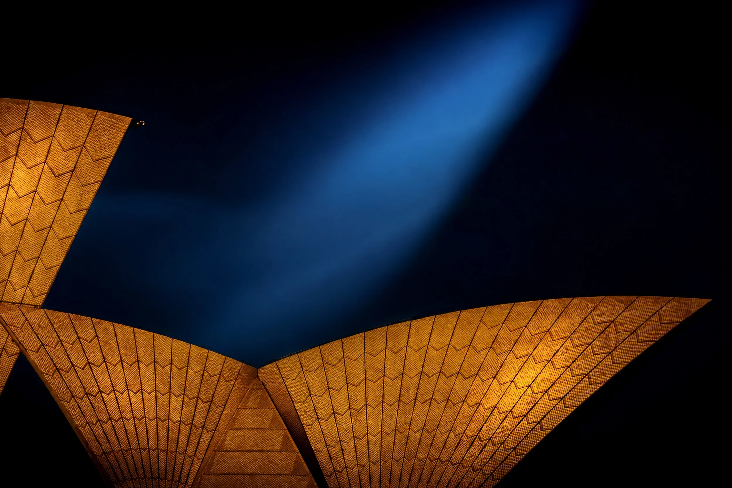 A minimalist architectural study of the Sydney Opera House sails illuminated against a deep blue twilight sky.
